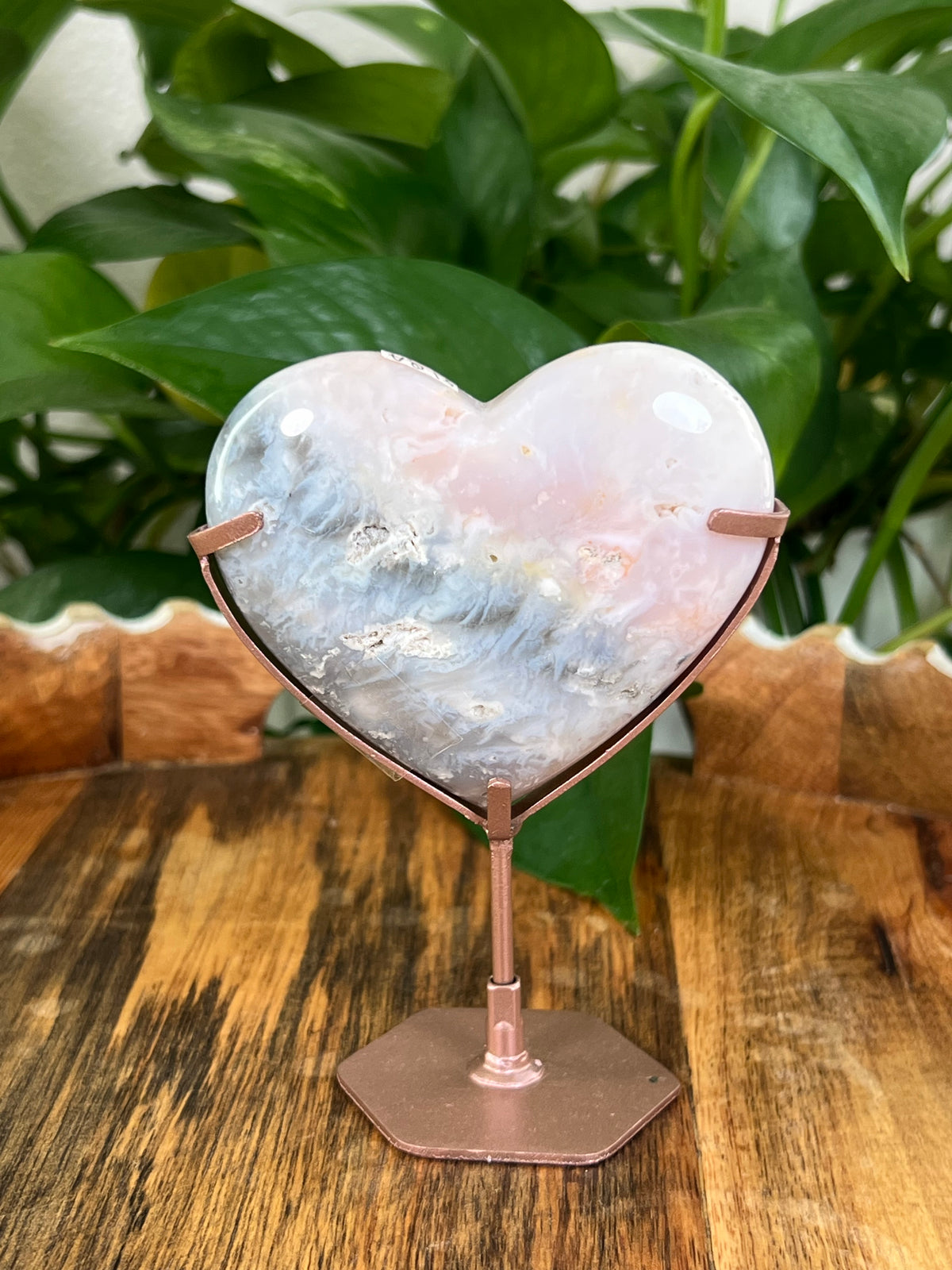 Rainbow Plume Agate Hearts