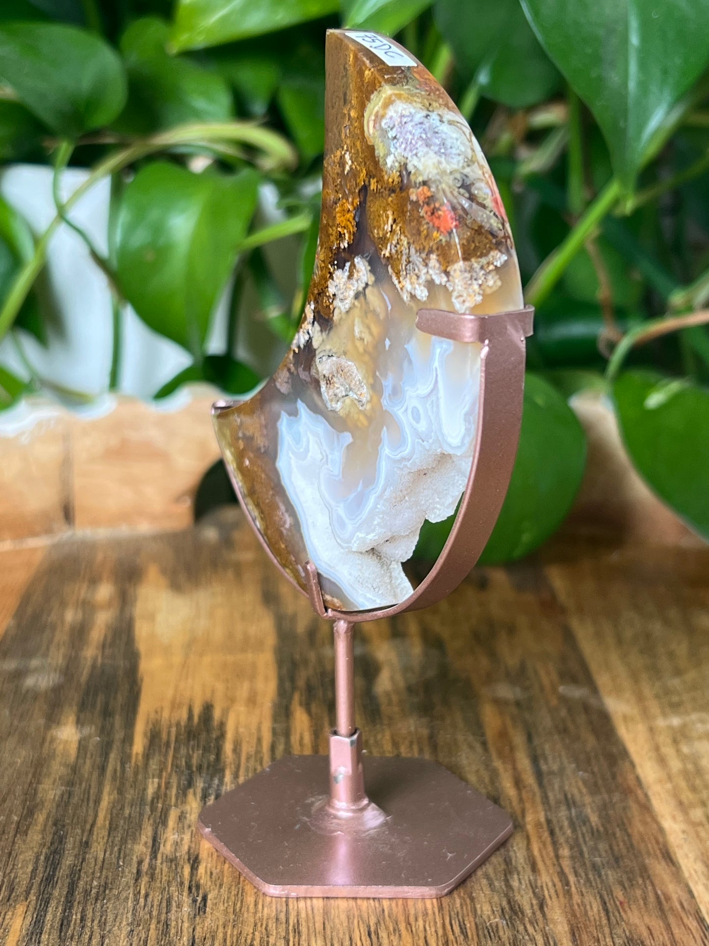 Scenic Moss Agate Moon