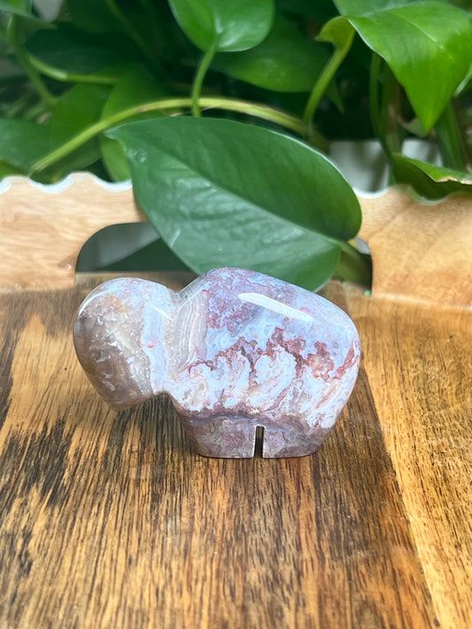 Sumatra Plume Agate Mini Buffalo: DQ