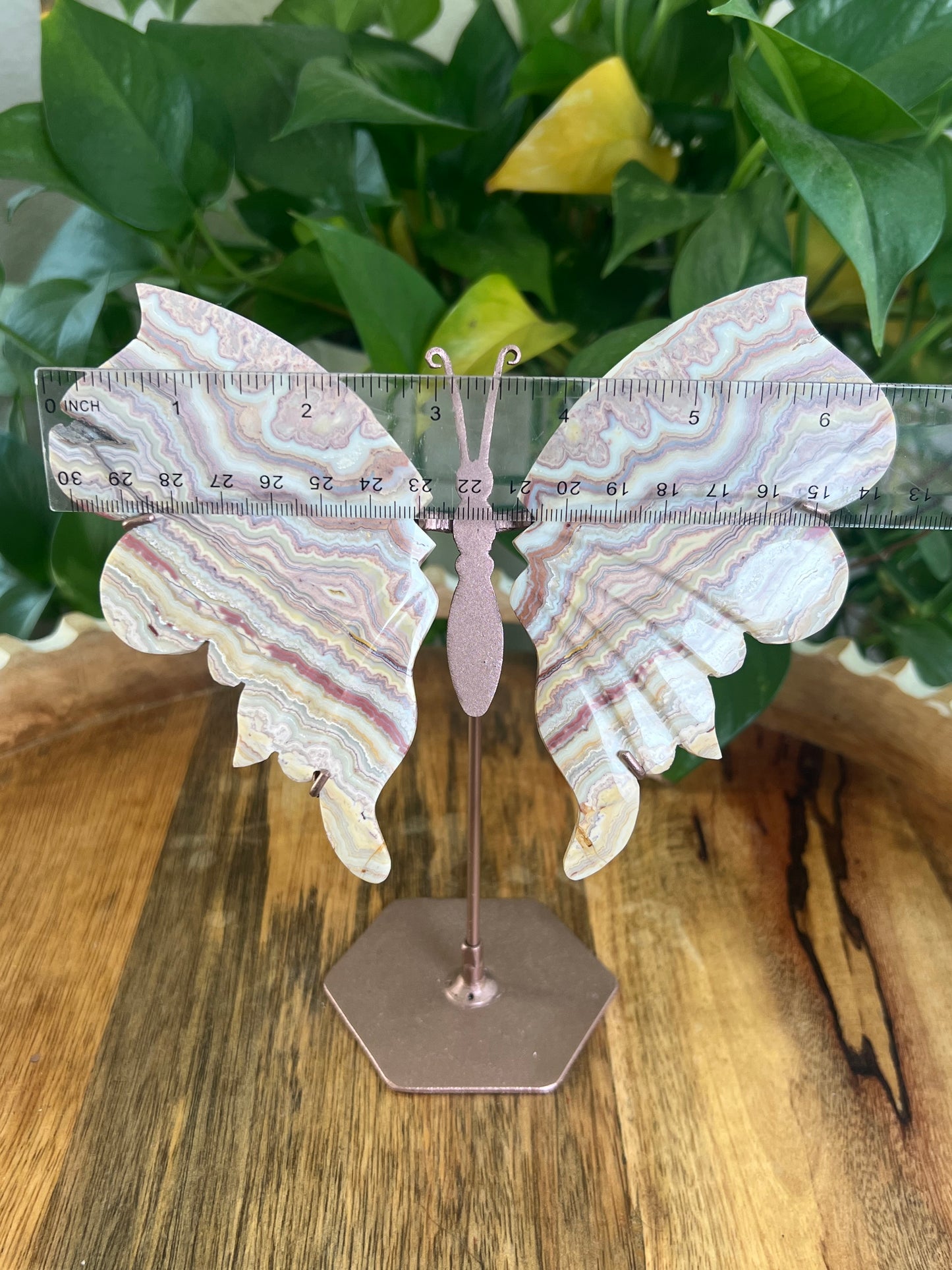 Crazy Lace Agate Wings BA