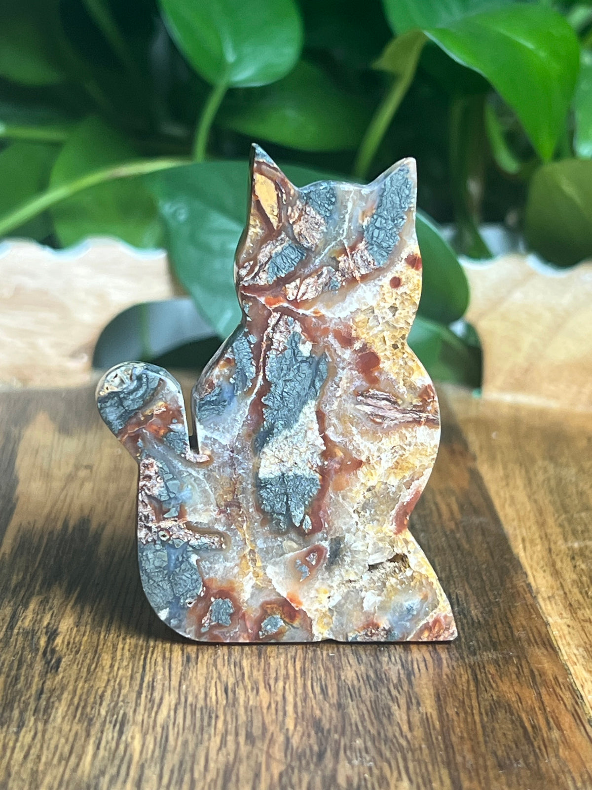 Marcasite Cat: DD