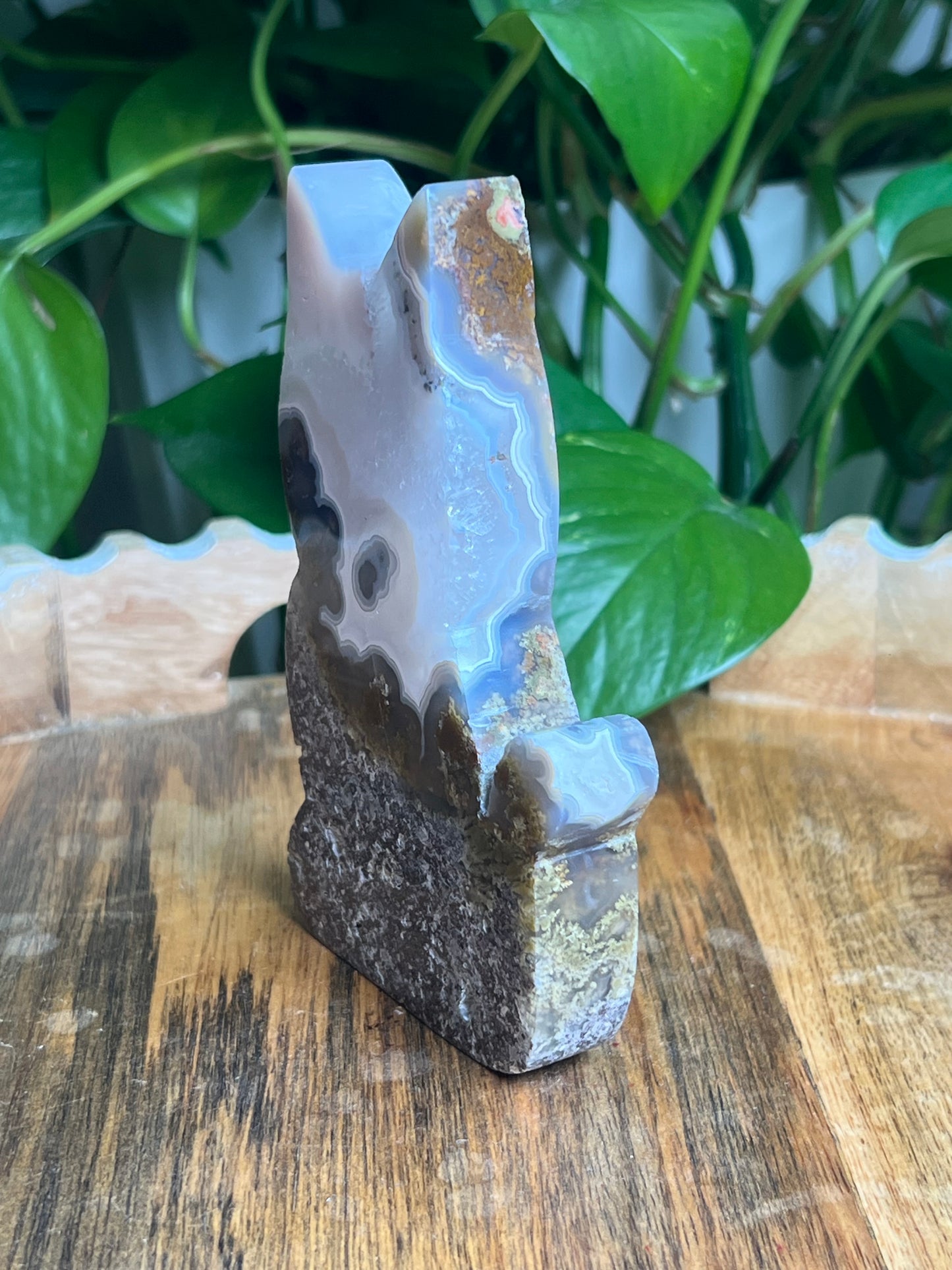 Scenic Moss Agate Cat: AE
