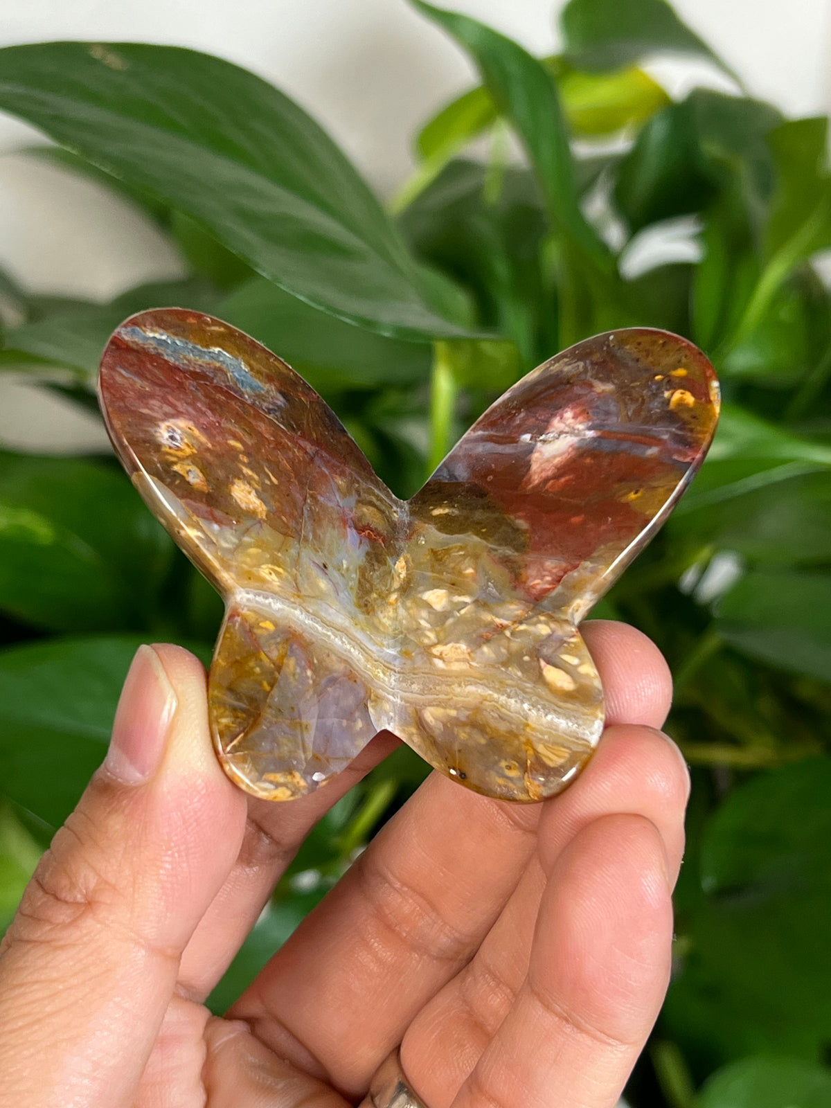 River Jasper 3D Butterflies