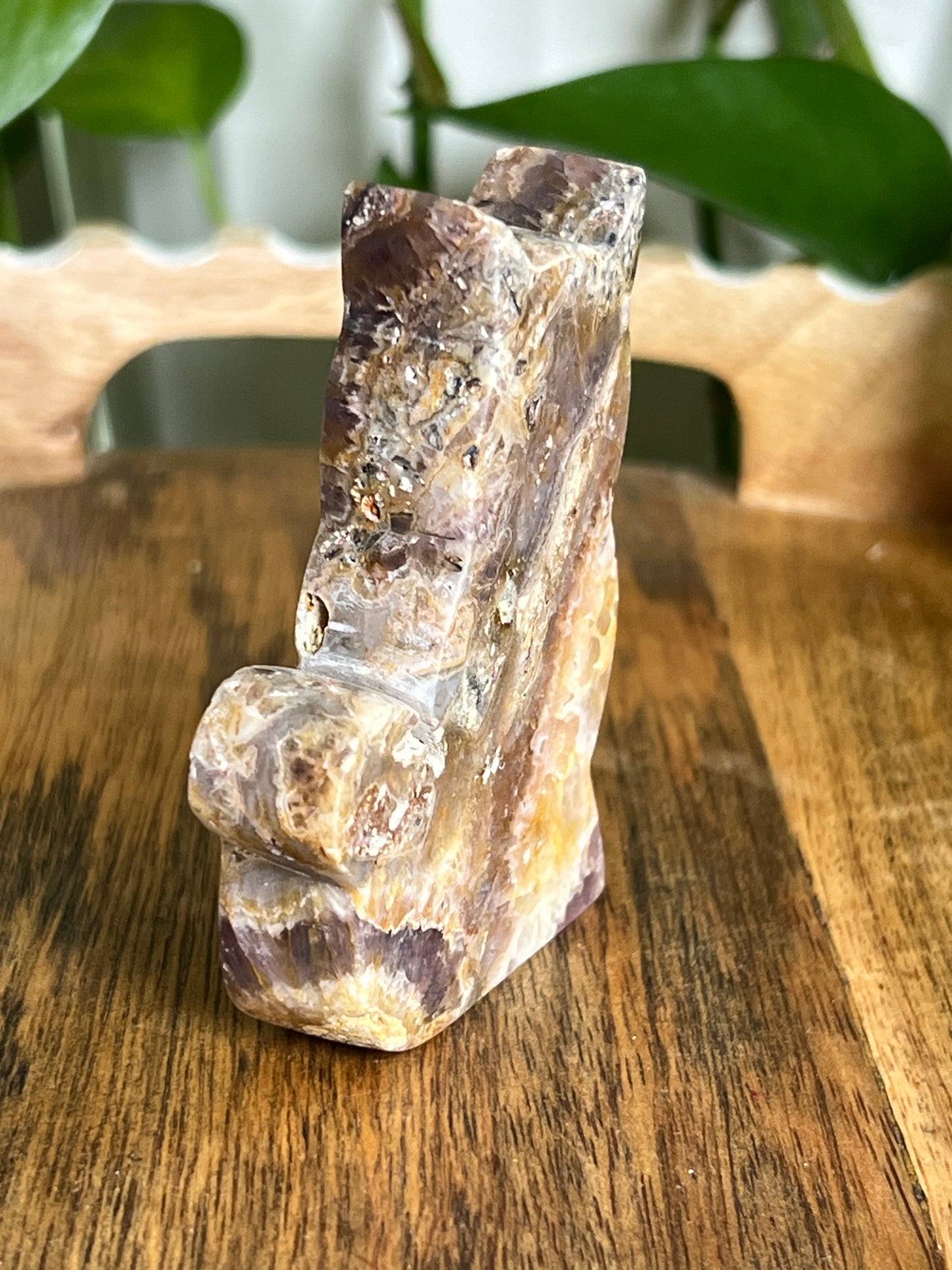 Indonesian Amethyst Cat CK