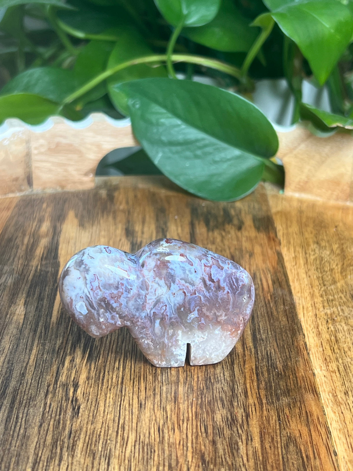 Sumatra Plume Agate Mini Buffalo: DH
