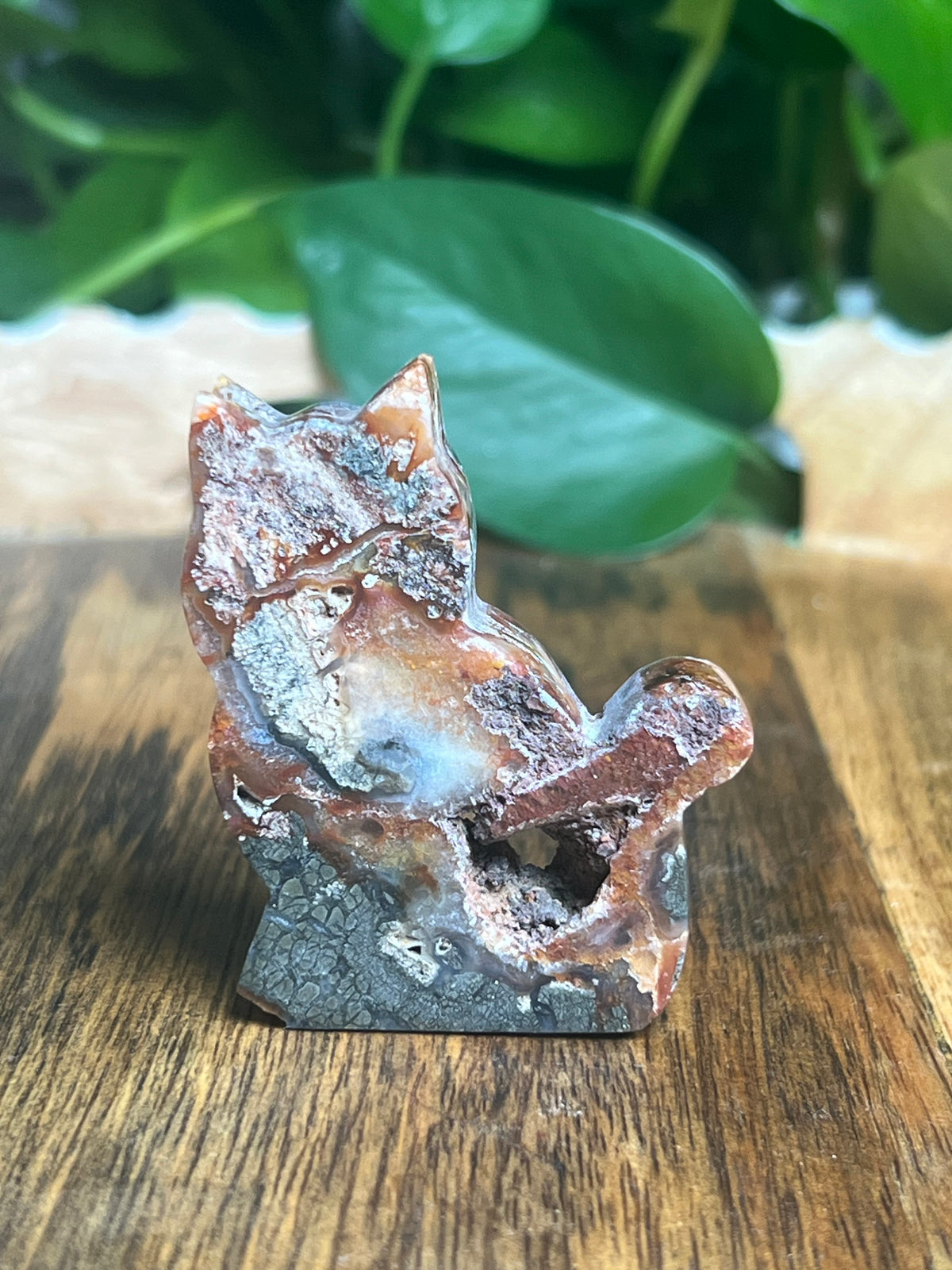 Marcasite Mini Cat: XM