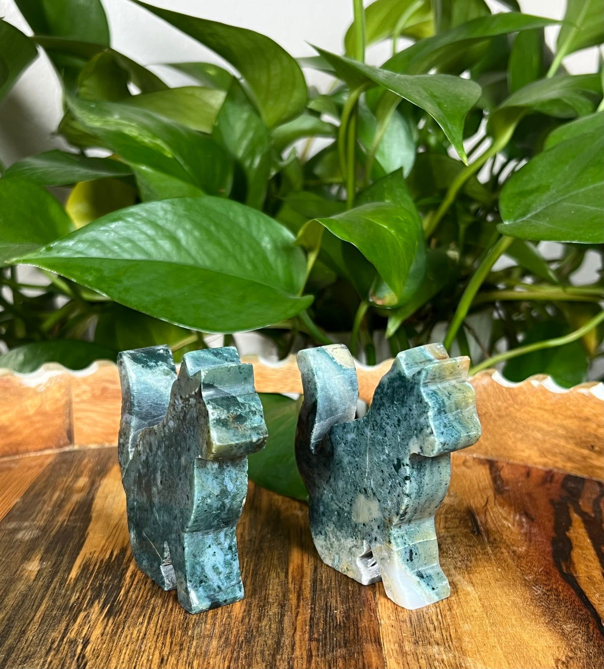 Blue Green Jasper Cats