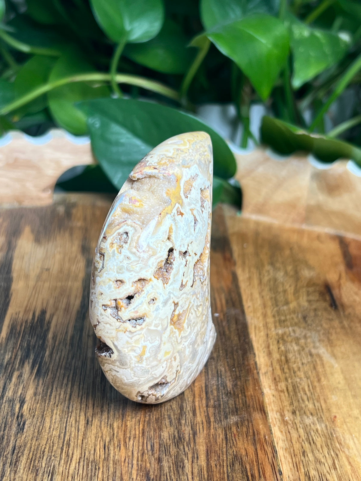 Crazy Lace Agate Self Standing Moon: CE