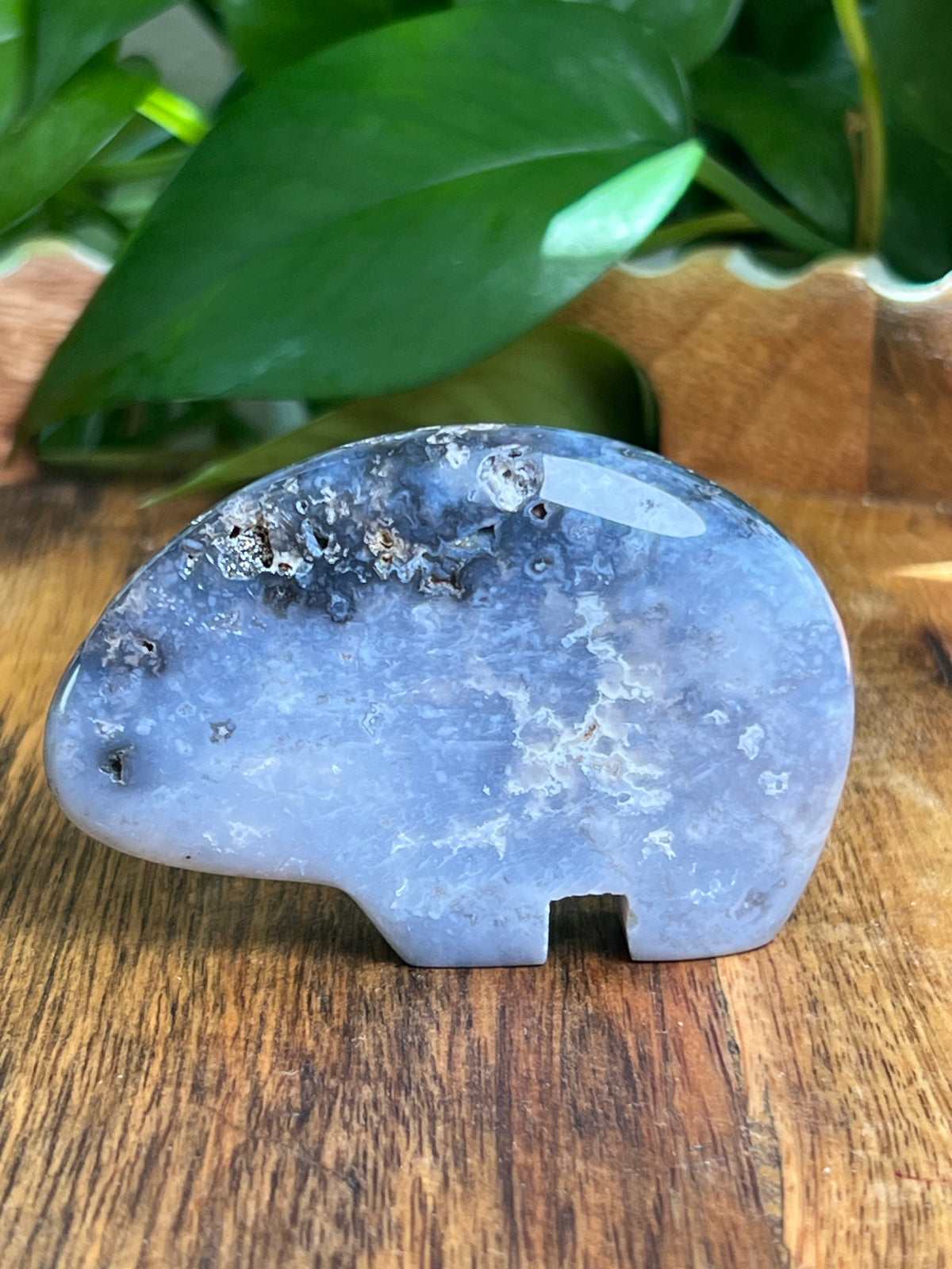Blue Plume Agate Bear: DS