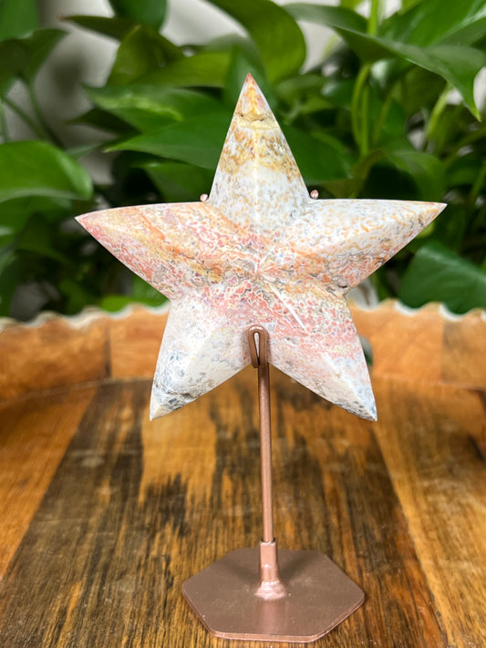 Sea Jasper Stars