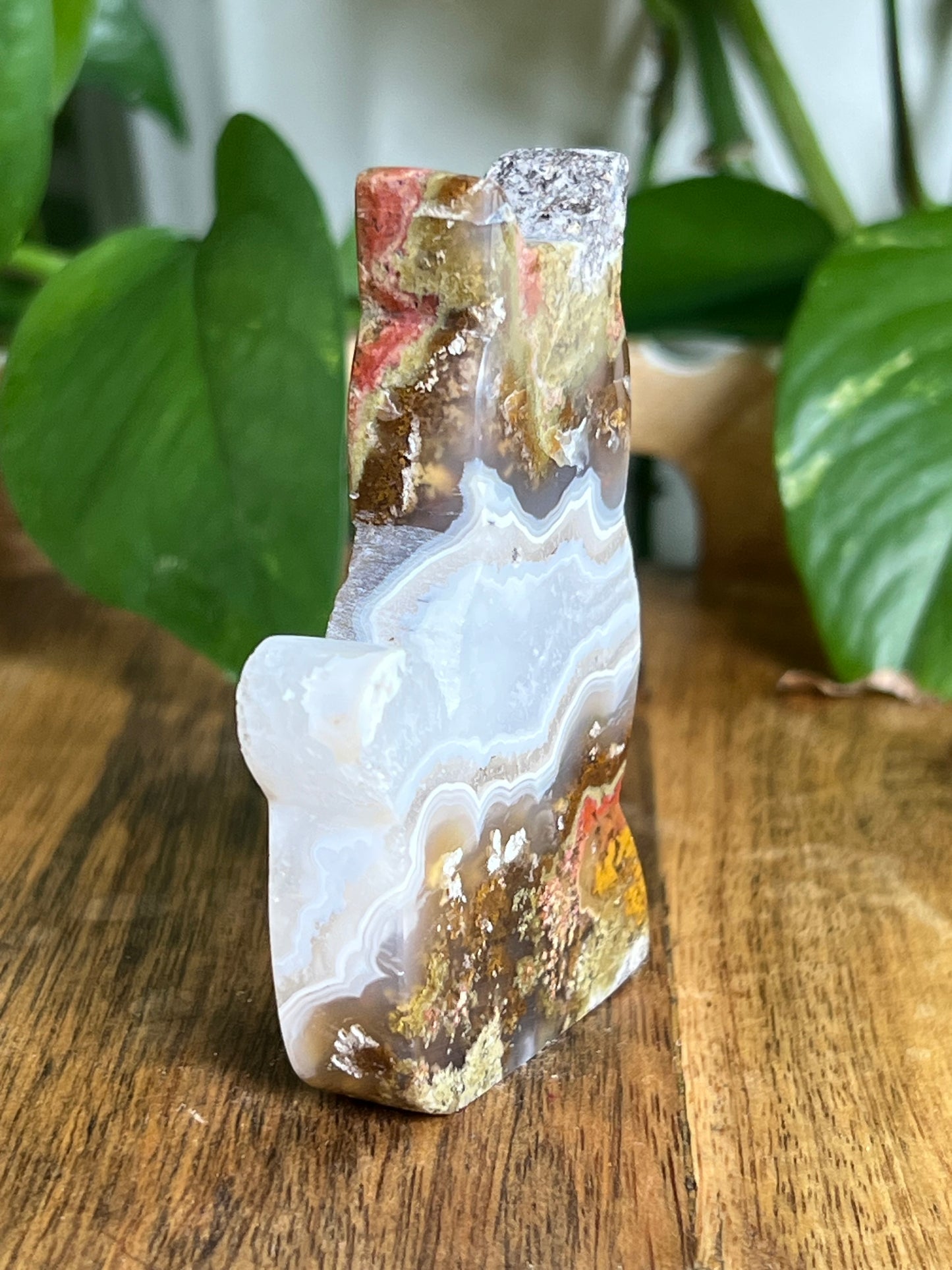 Scenic Moss Agate Cat HA
