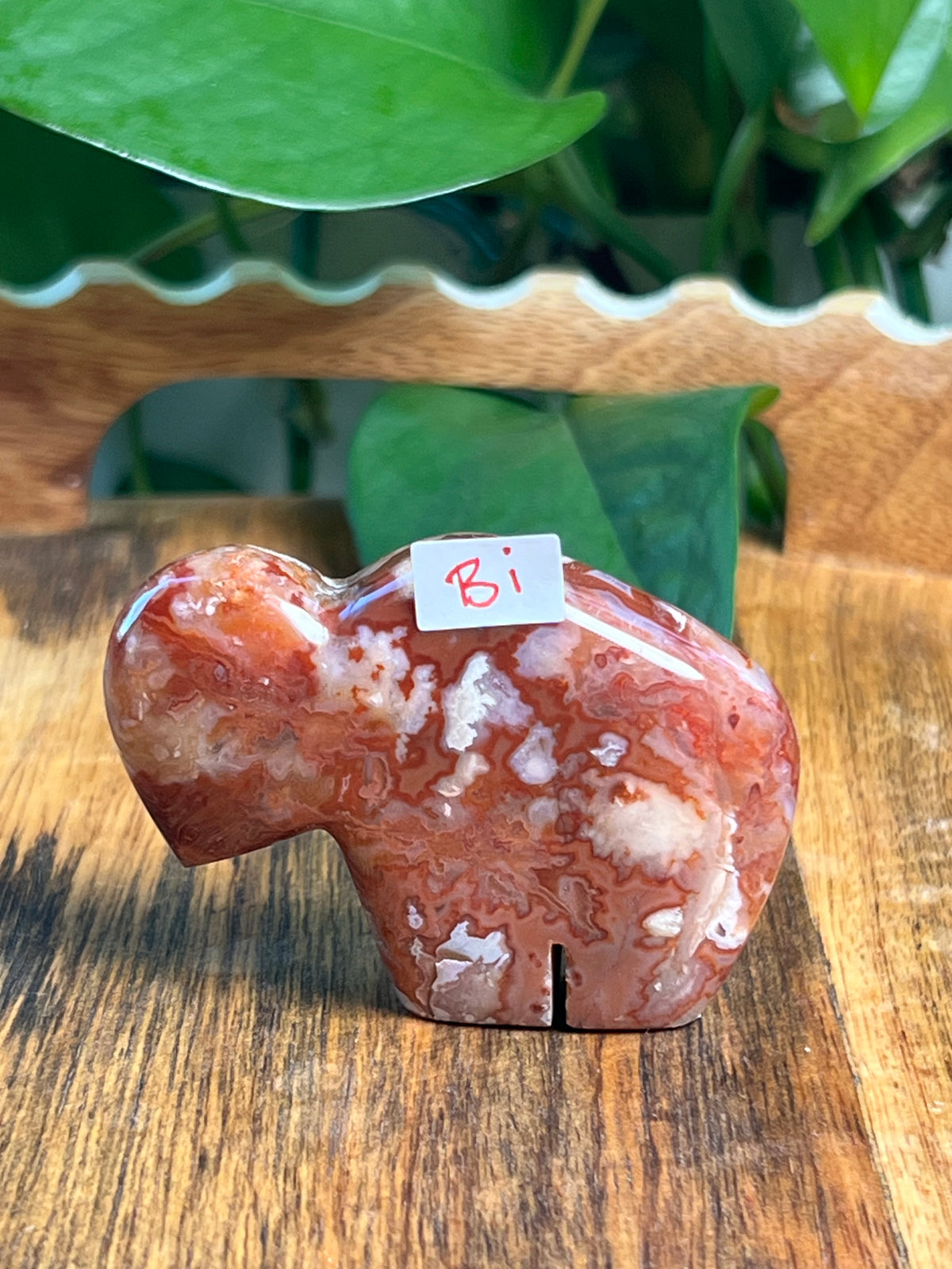 Carnelian Mini Buffalos