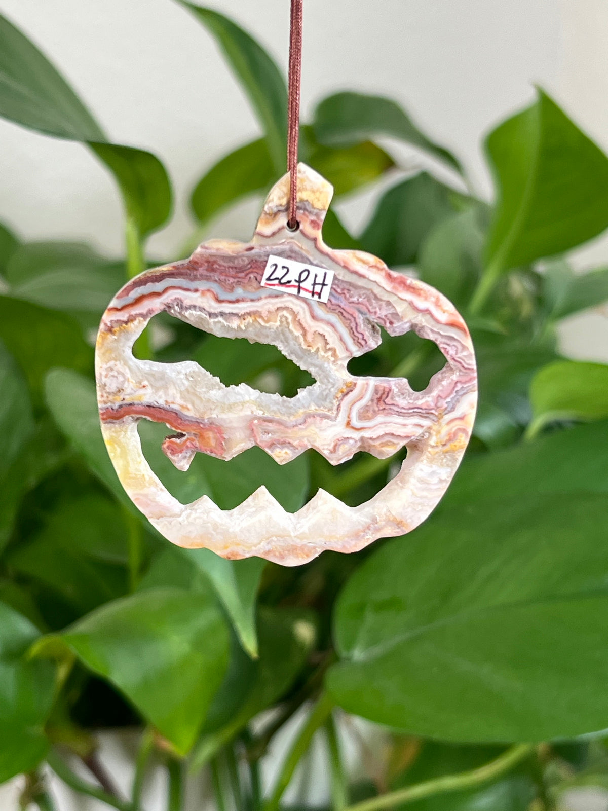 Crazy Lace Agate Jack-O-Lantern Ornaments
