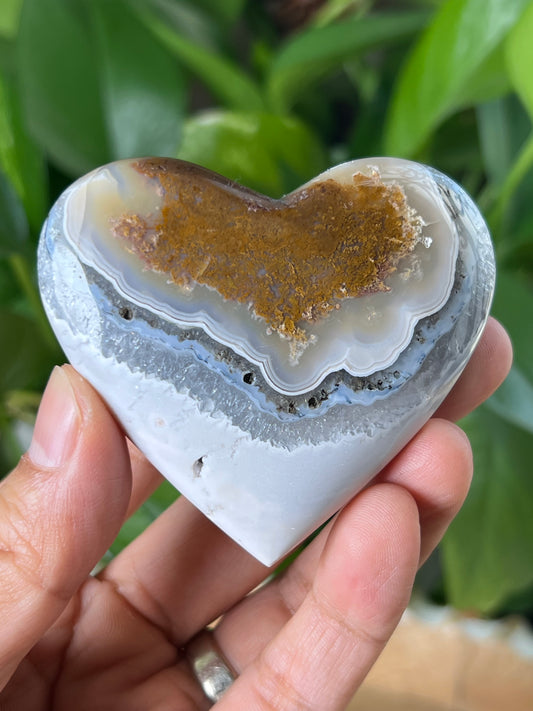 Scenic Moss Agate Palmstone