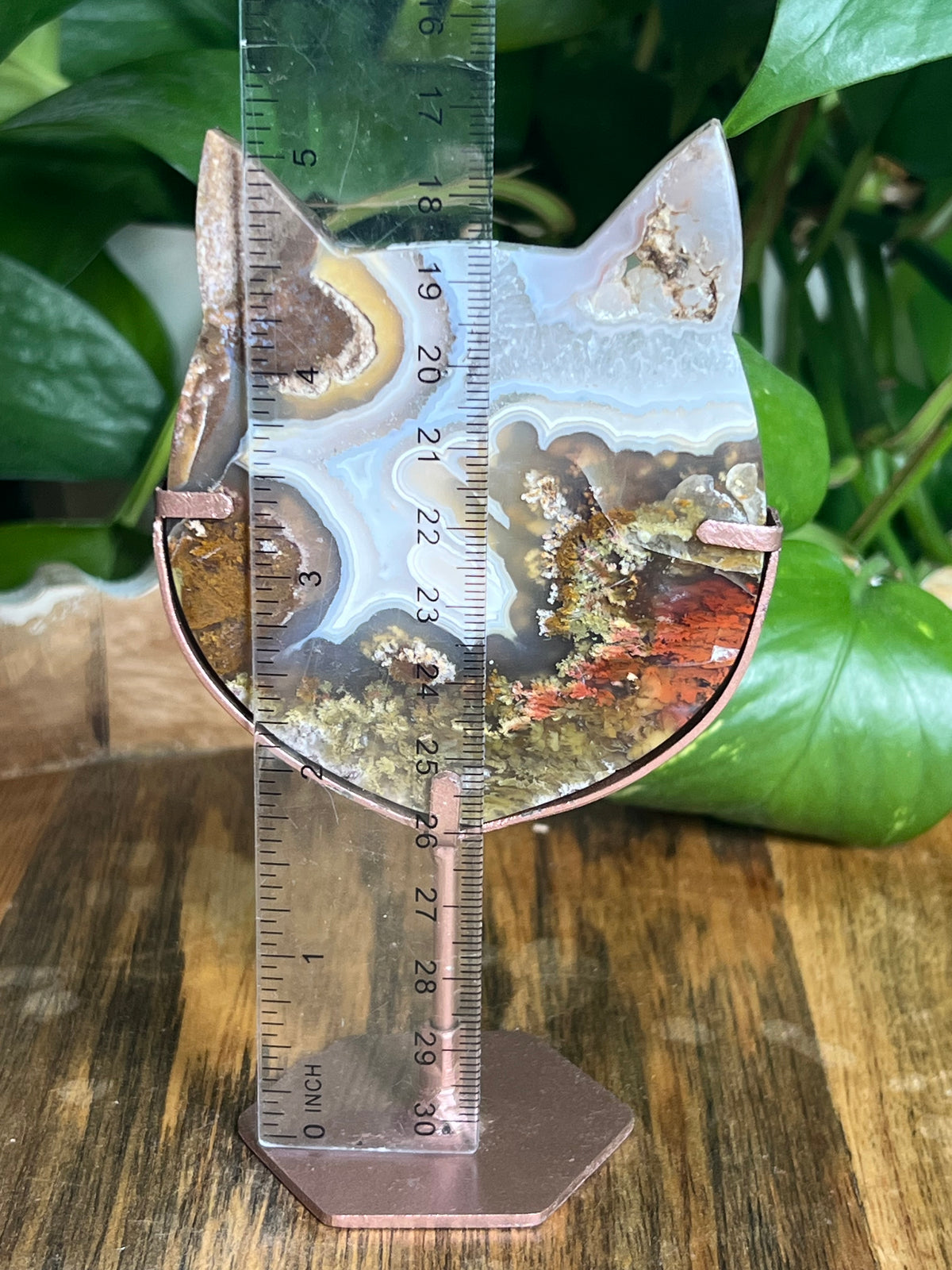 Scenic Moss Agate Cat Head