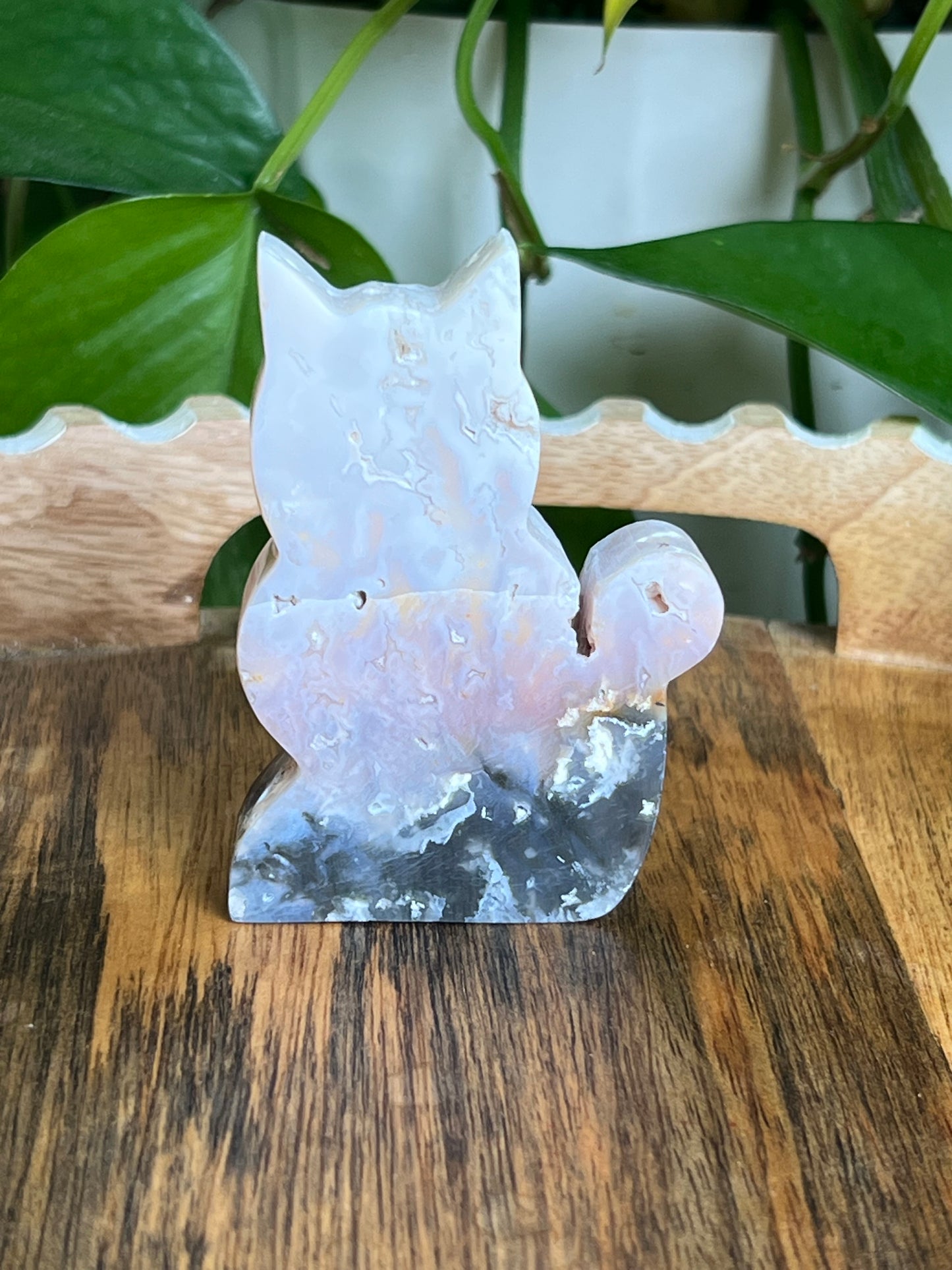 Rainbow Plume Agate Cat NX
