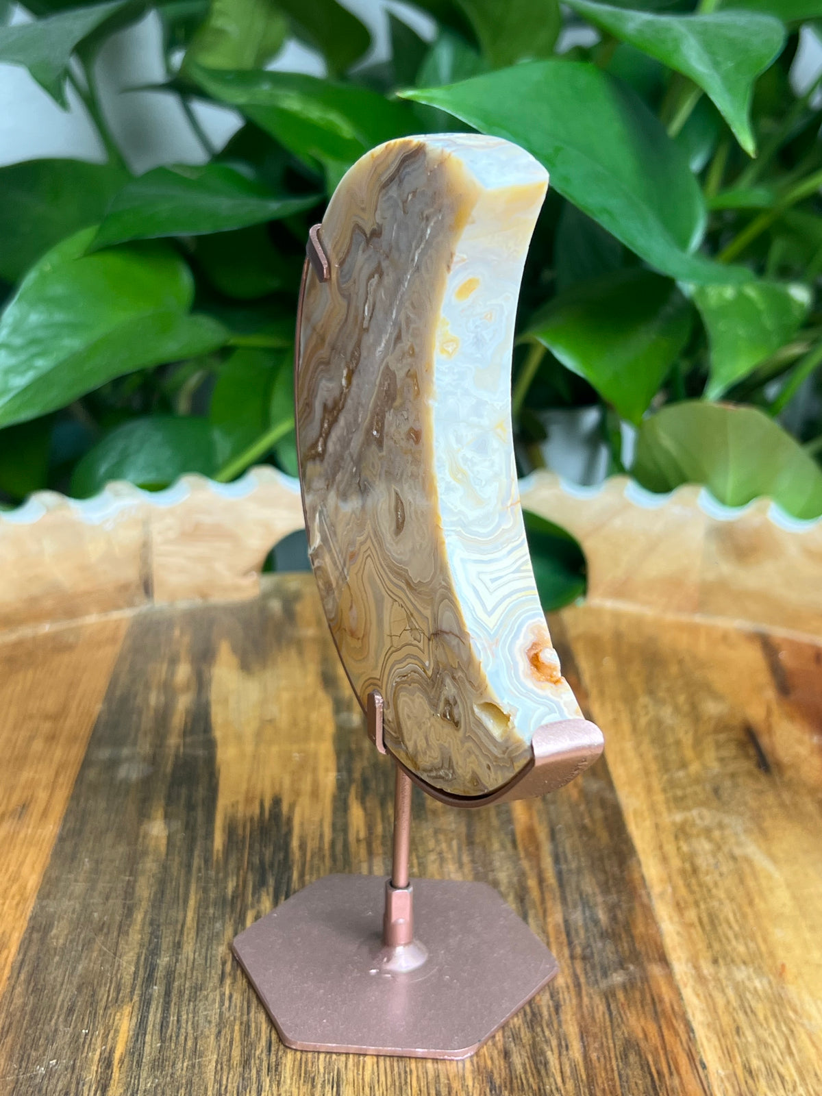 Yellow Crazy Lace Agate Moon: ZA