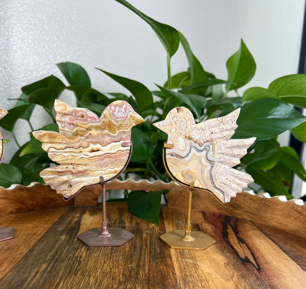 Crazy Lace Agate Birds