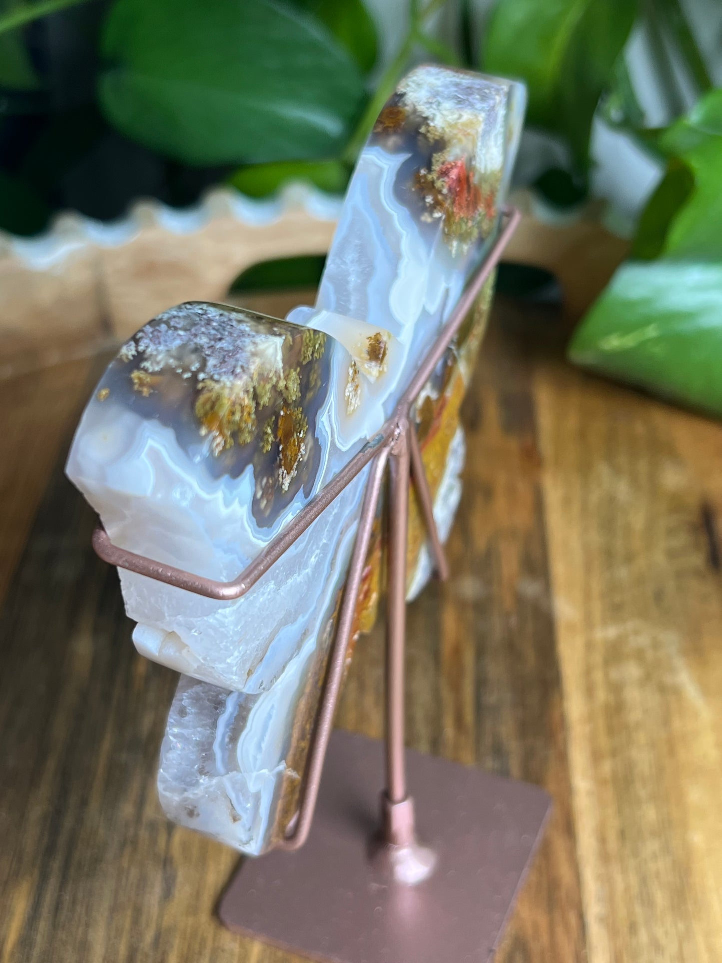 Scenic Moss Agate Butterfly