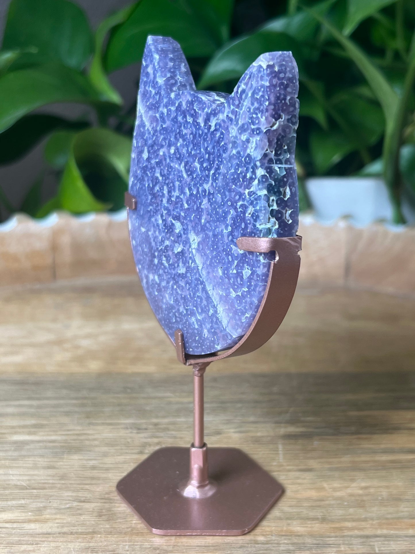 Grape Agate Cat