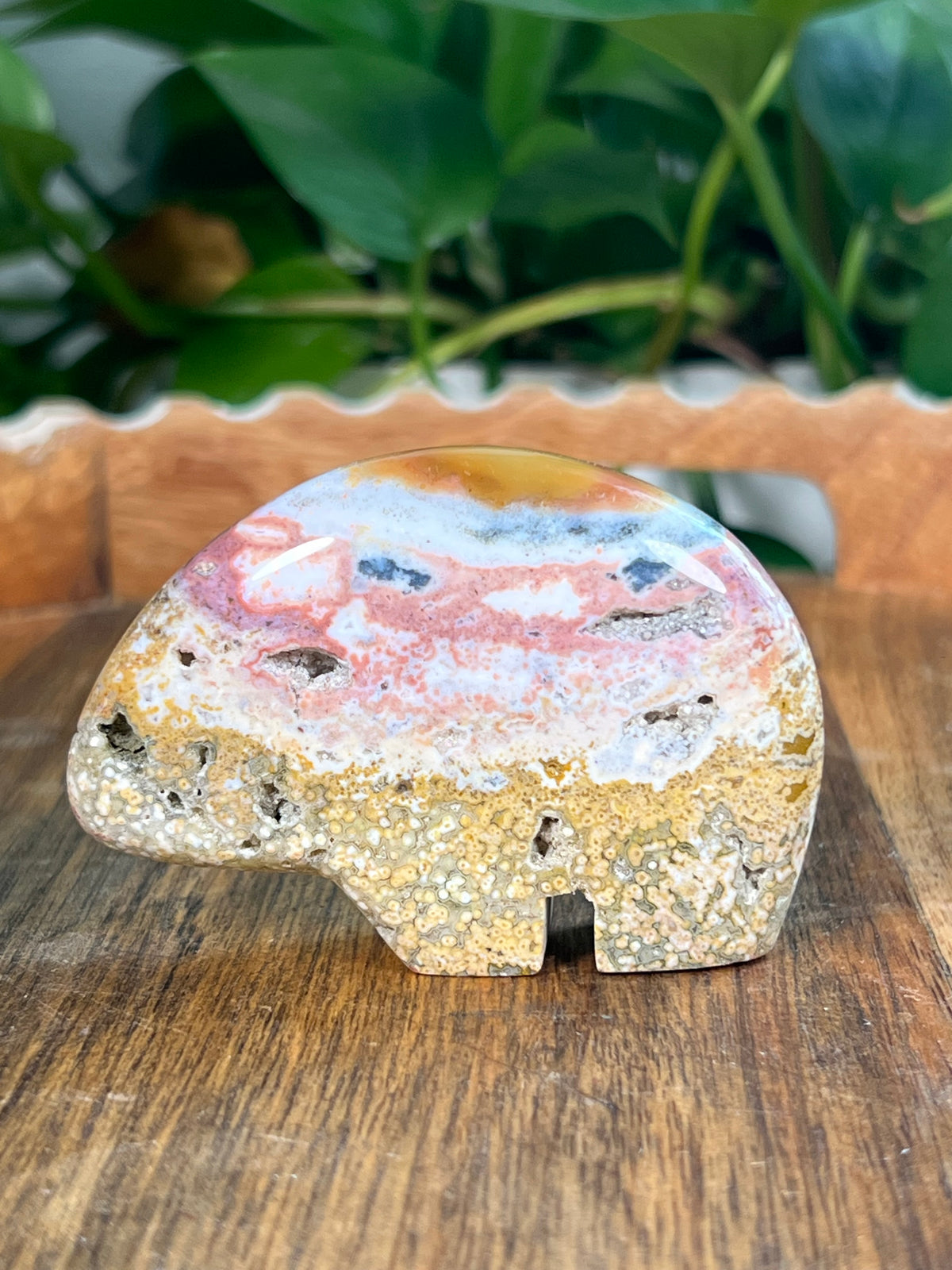 Sea Jasper Bears
