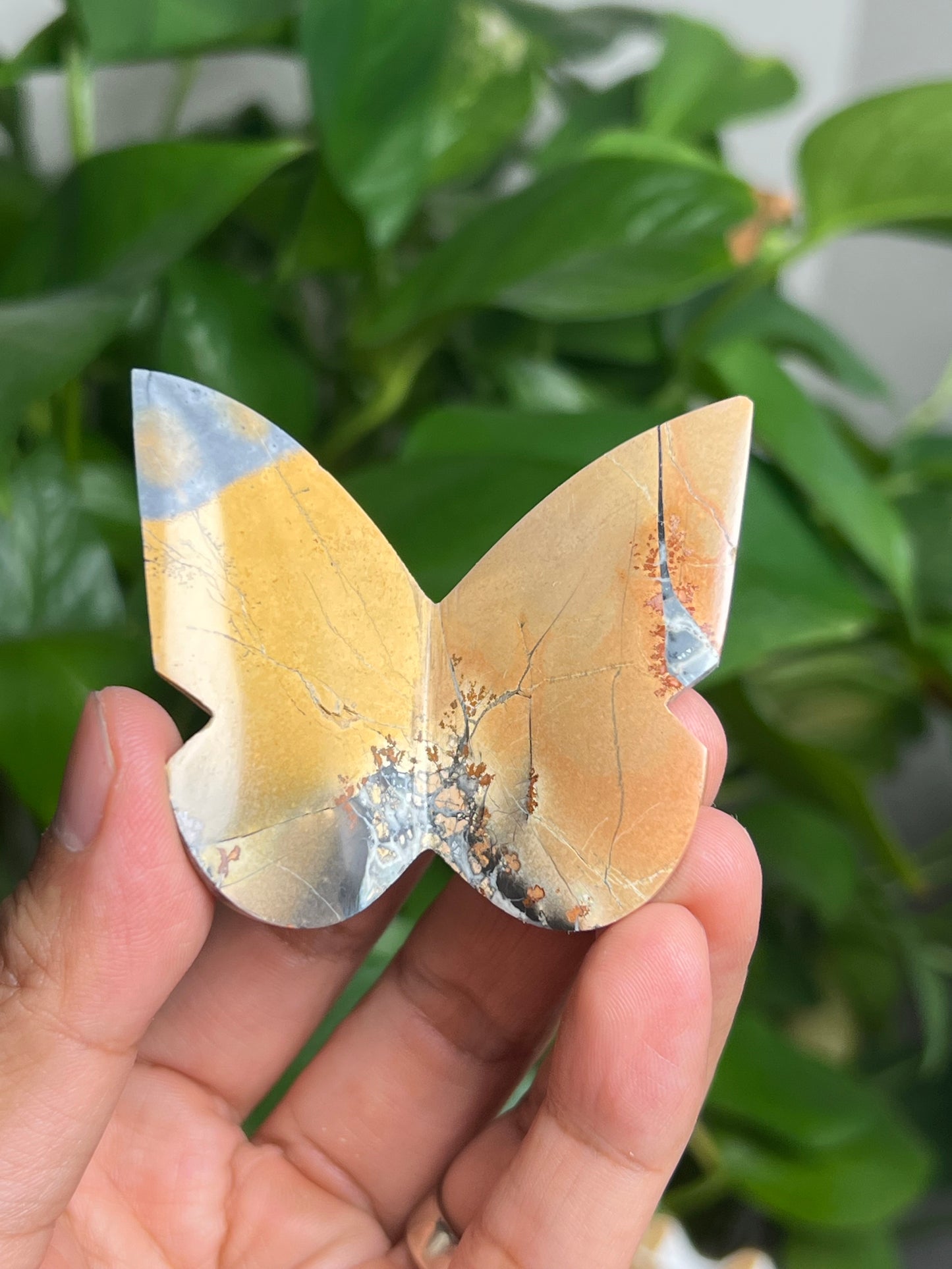 Maligano 3D Butterfly: AK