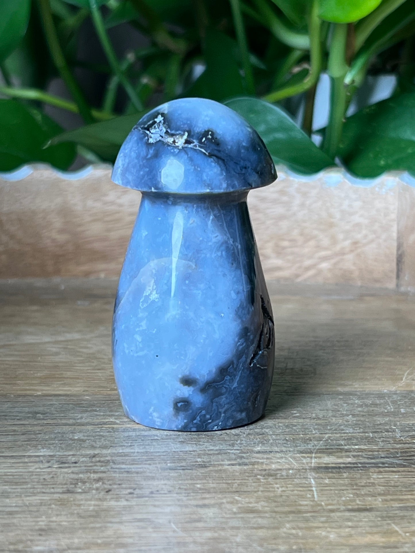 Blue Plume Agate Mushroom: ZE