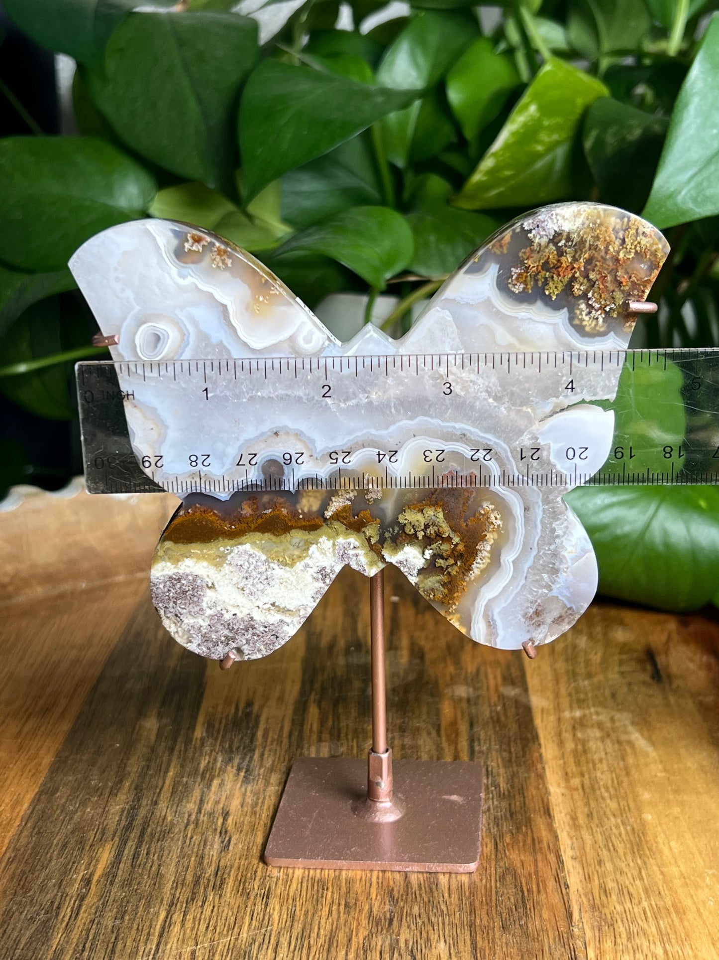 Scenic Moss Agate Butterfly