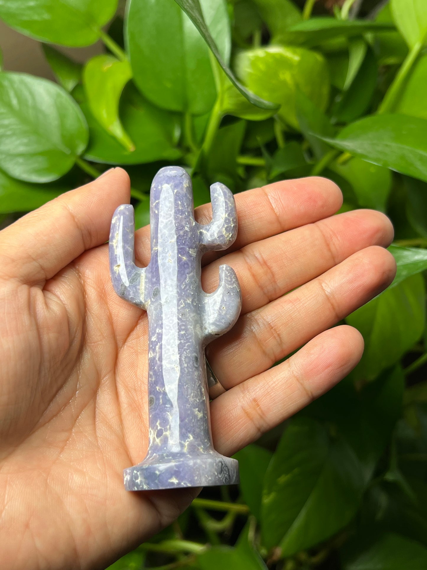 Grape Agate Cactus