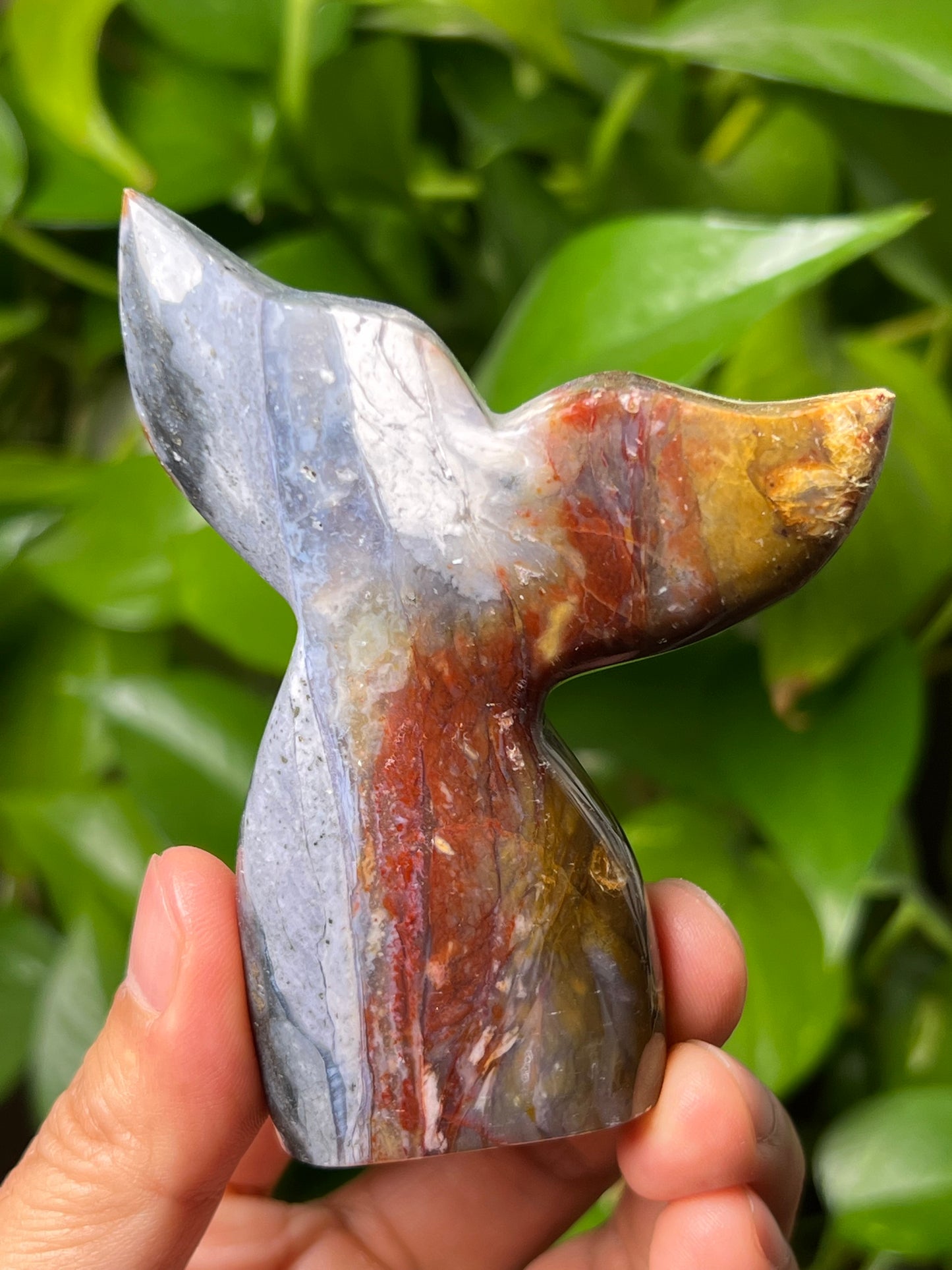 River Jasper Tail