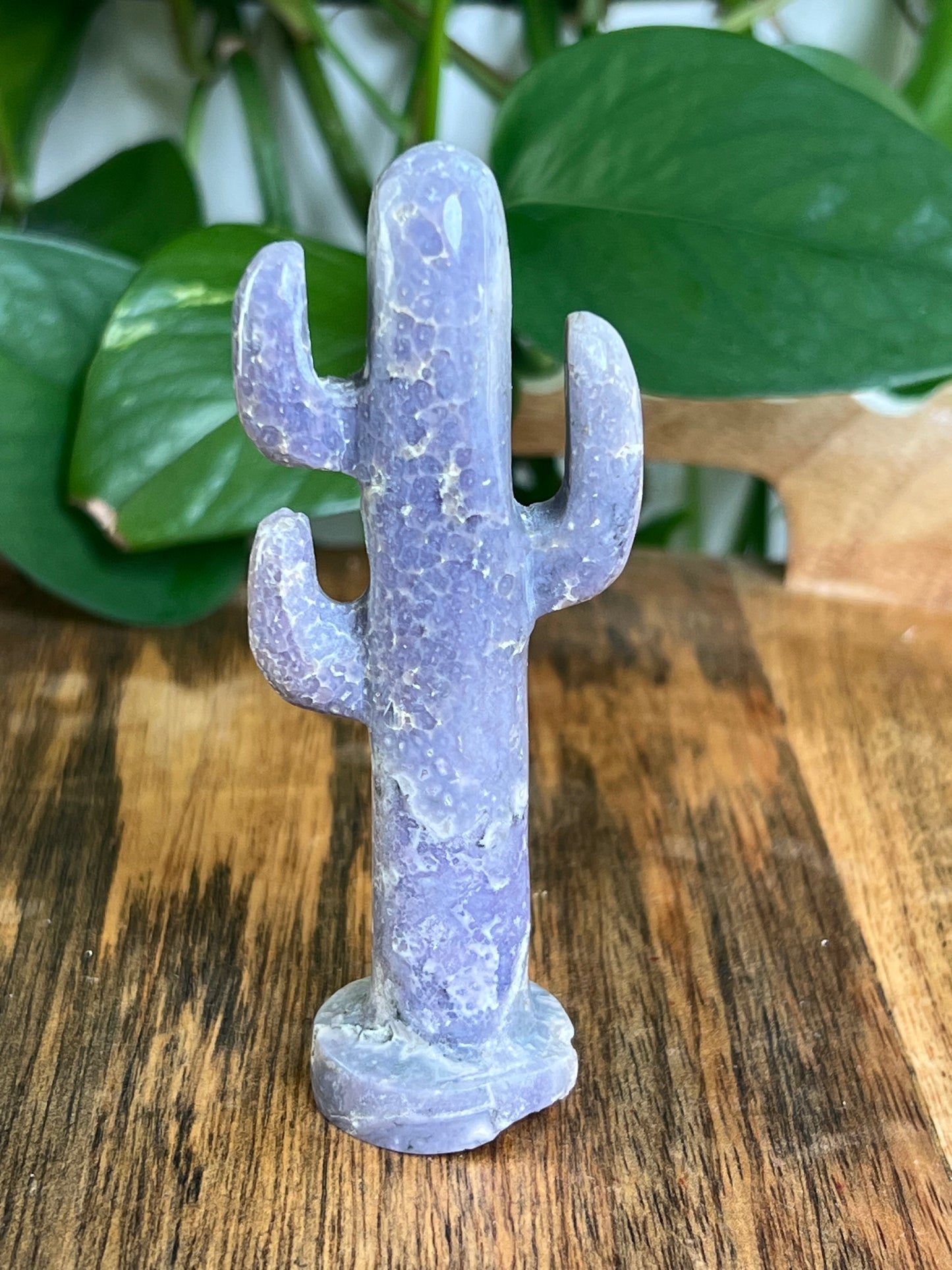 Grape Agate Cactus: AX