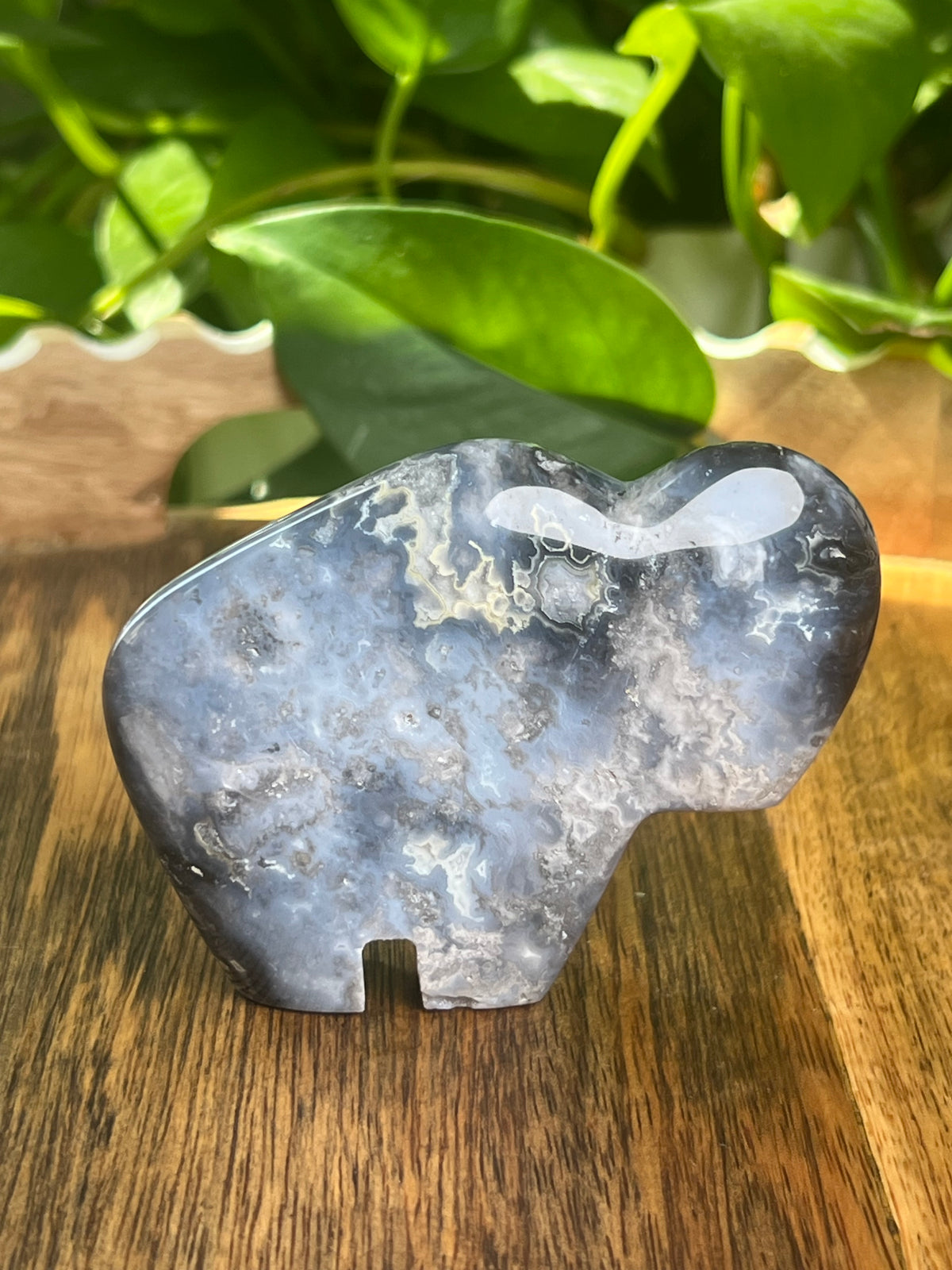 Blue Plume Agate Buffalo: BF
