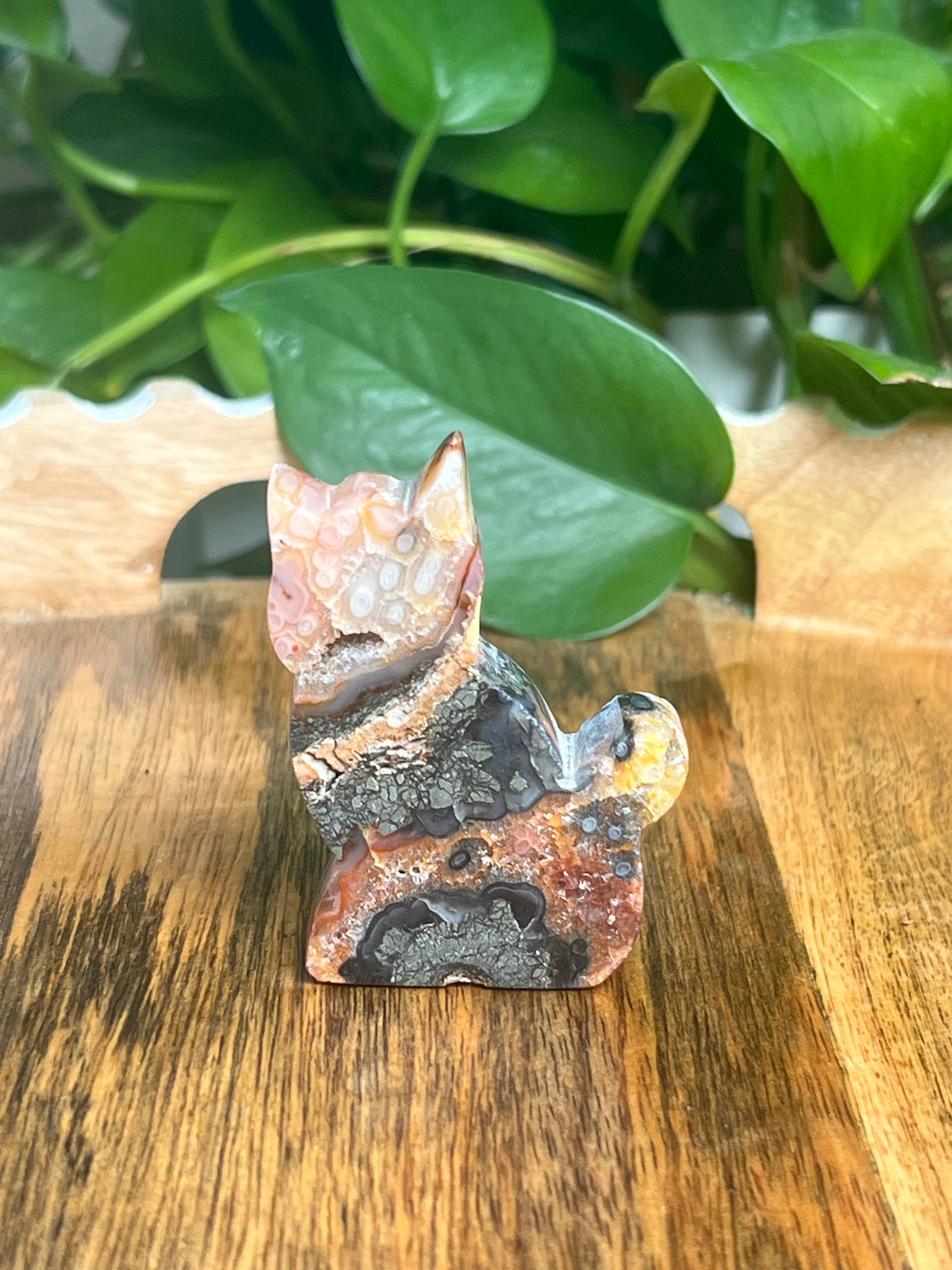 Marcasite Cat: XO