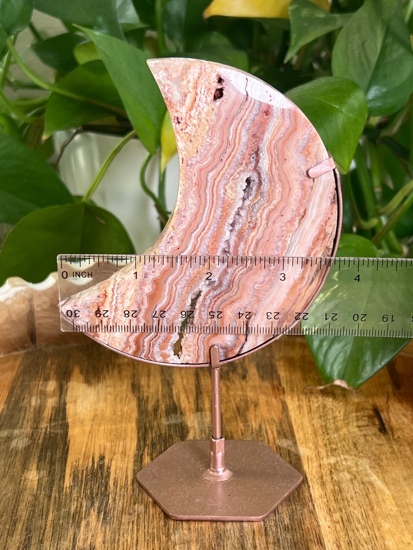 Crazy Lace Agate Moon Z