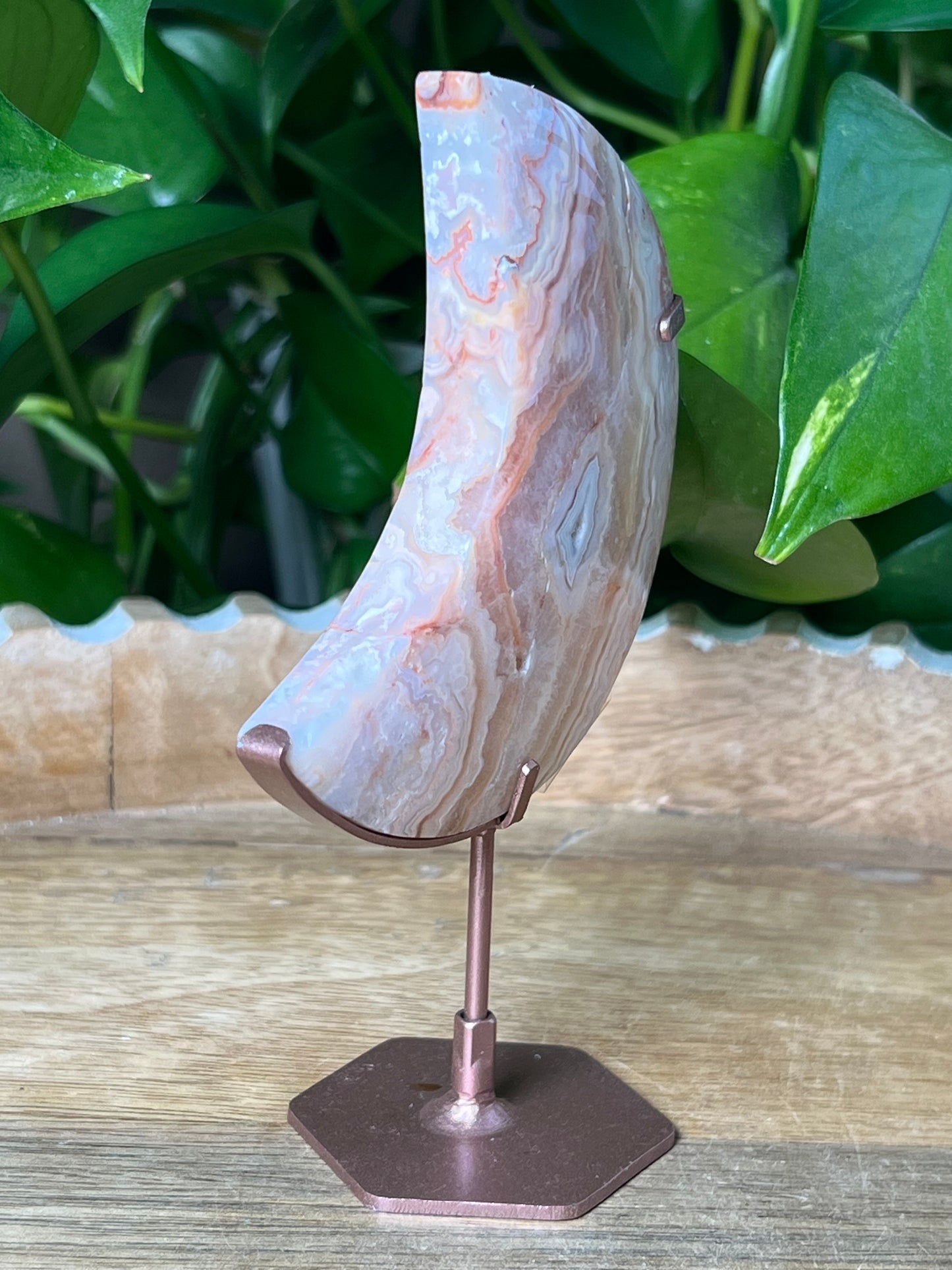 Crazy Lace Agate Moon