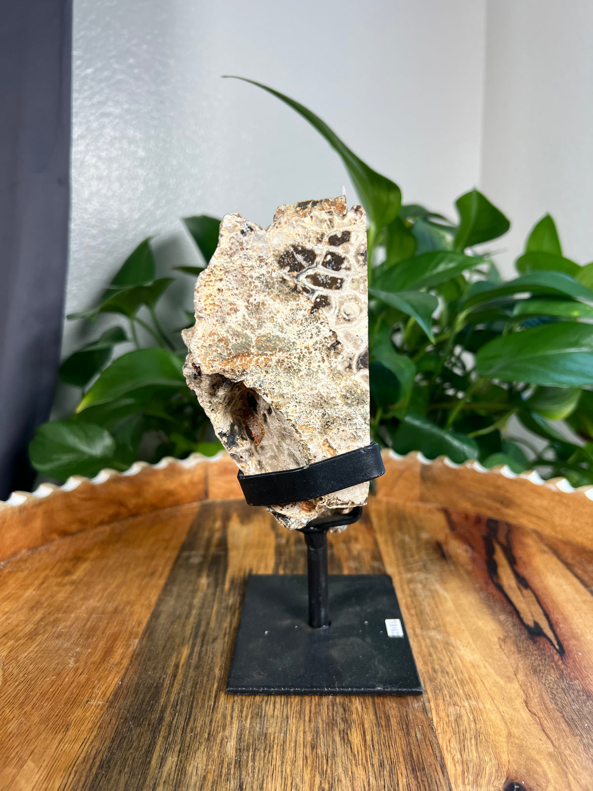 Brazilian Druzy Agate: EL