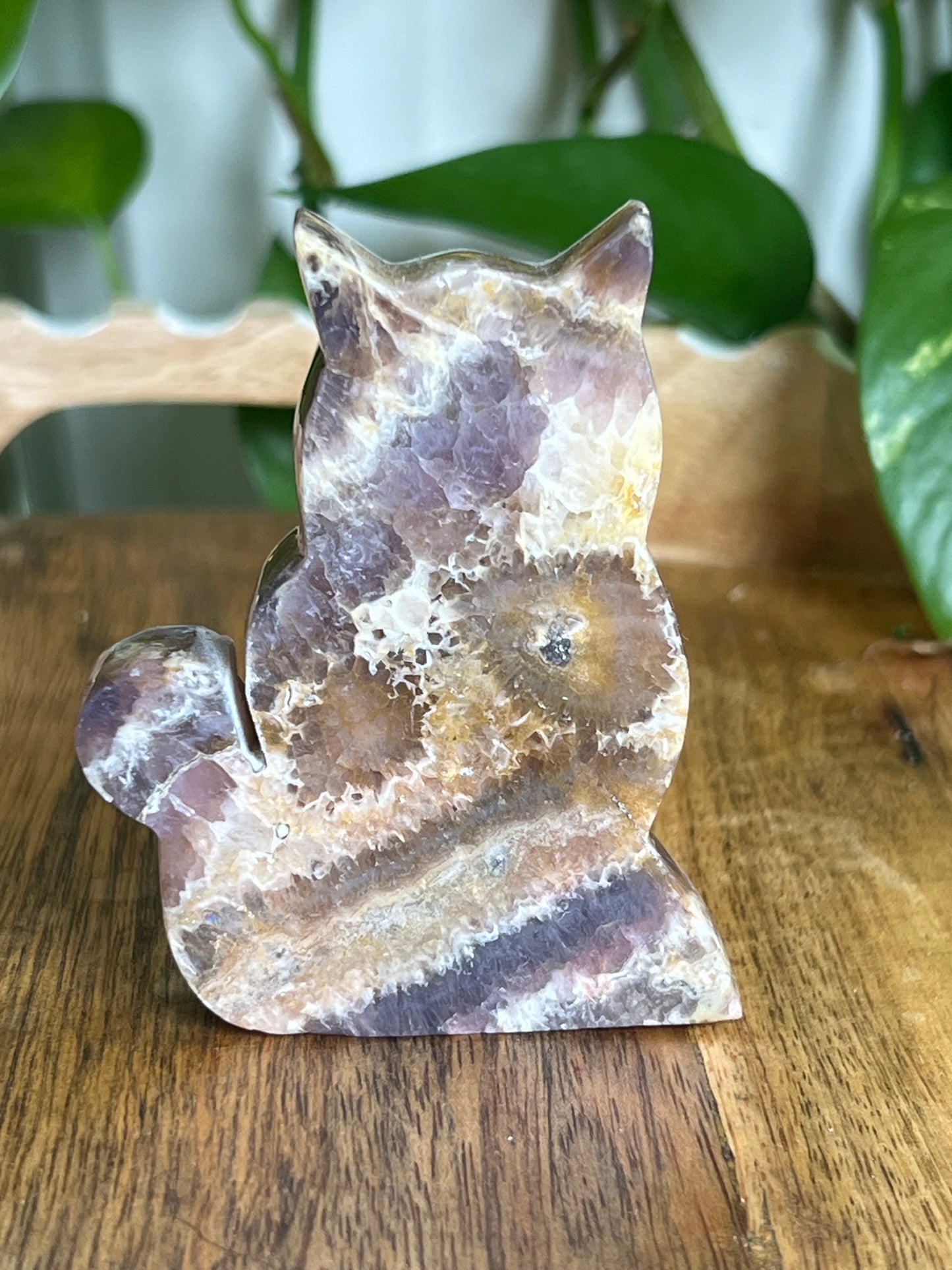 Indonesia Amethyst Cat Ci
