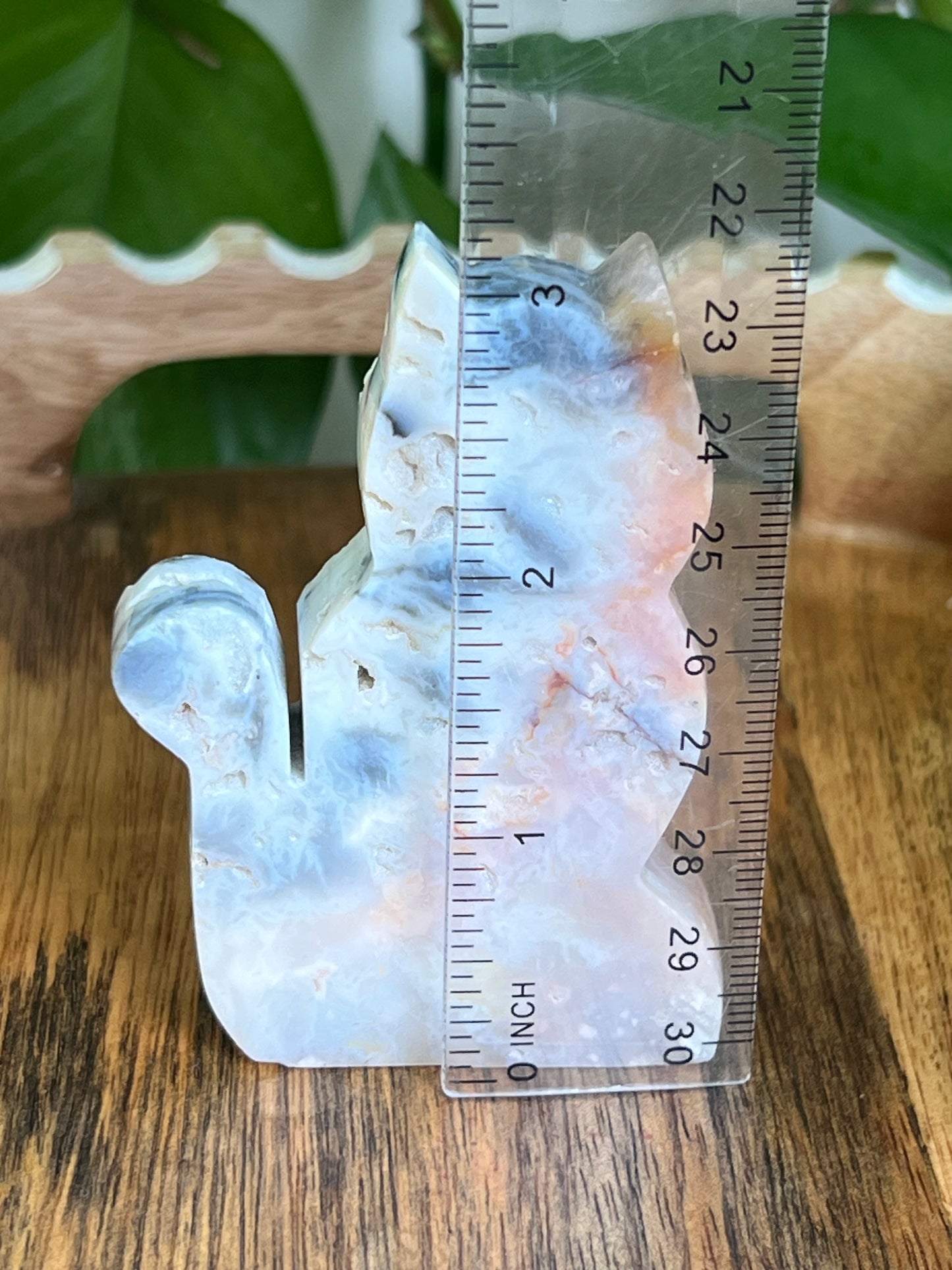 Rainbow Plume Agate Cat NC