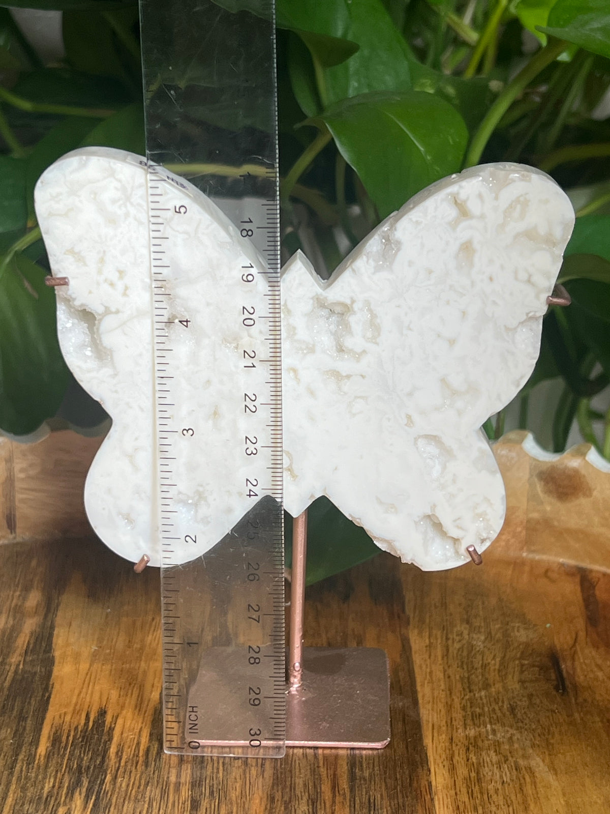 White Plume Agate Butterfly: NB