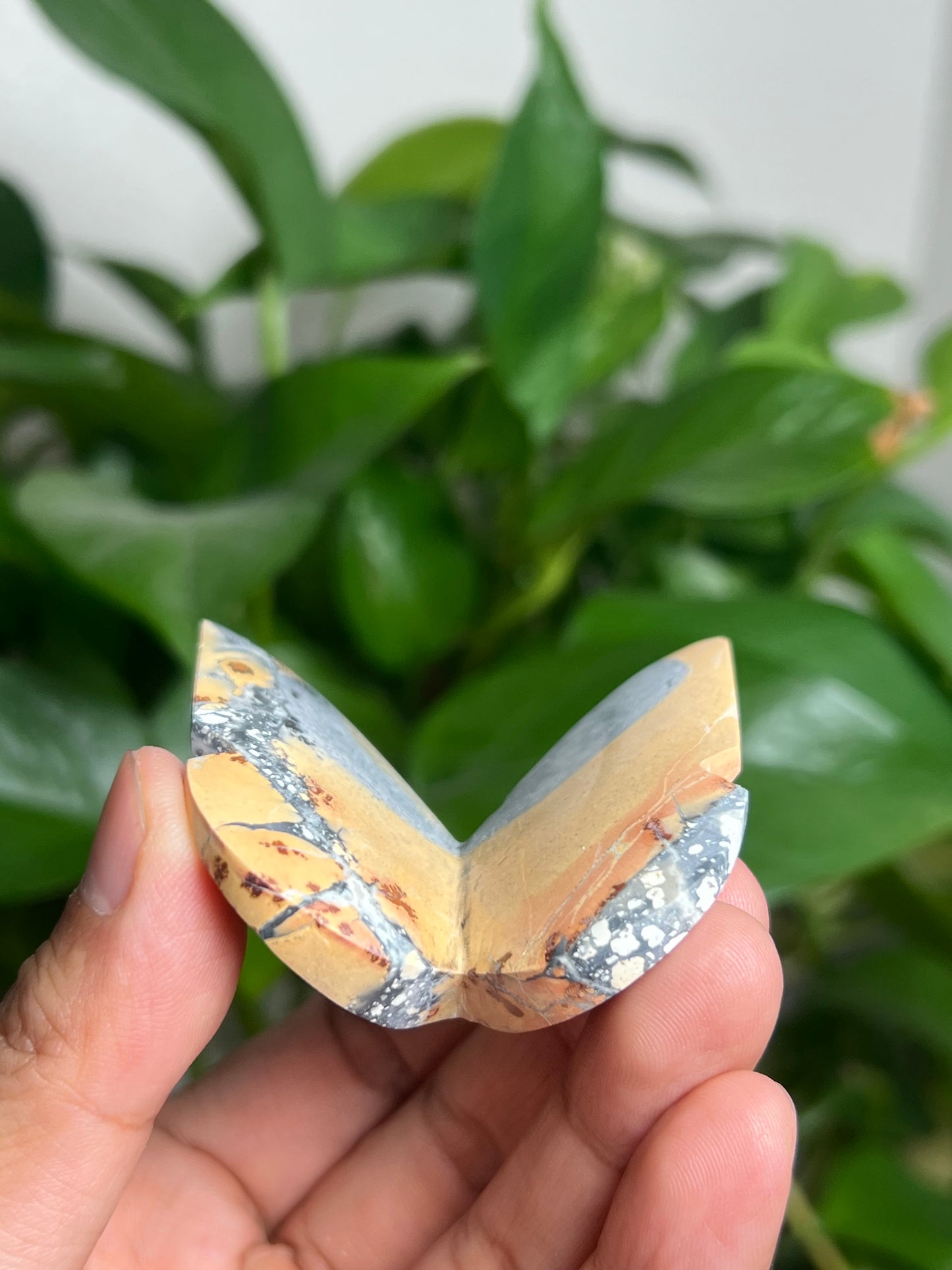 Maligano 3D Butterfly: BC
