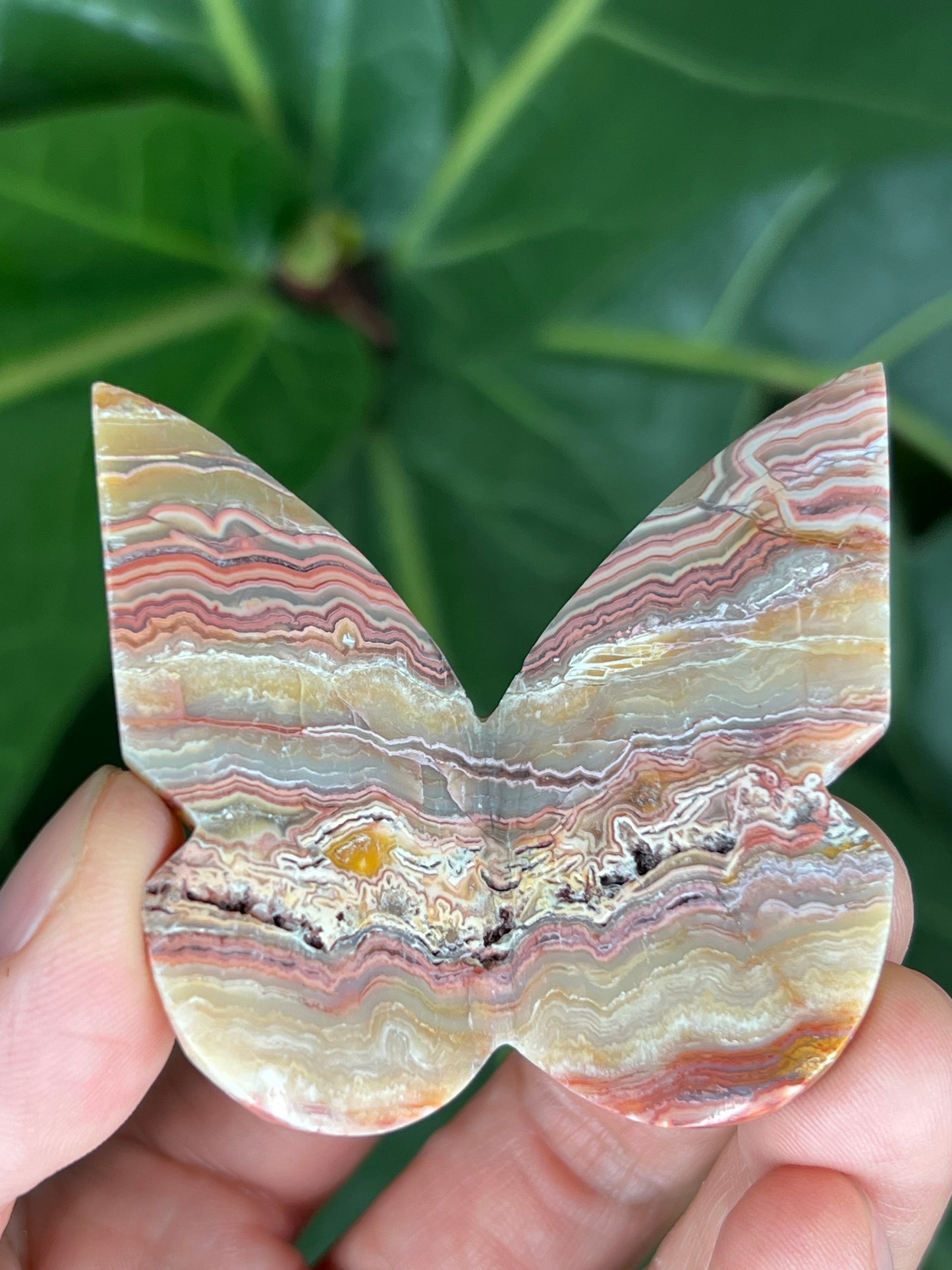 3D Butterfly Crazy Lace Agate