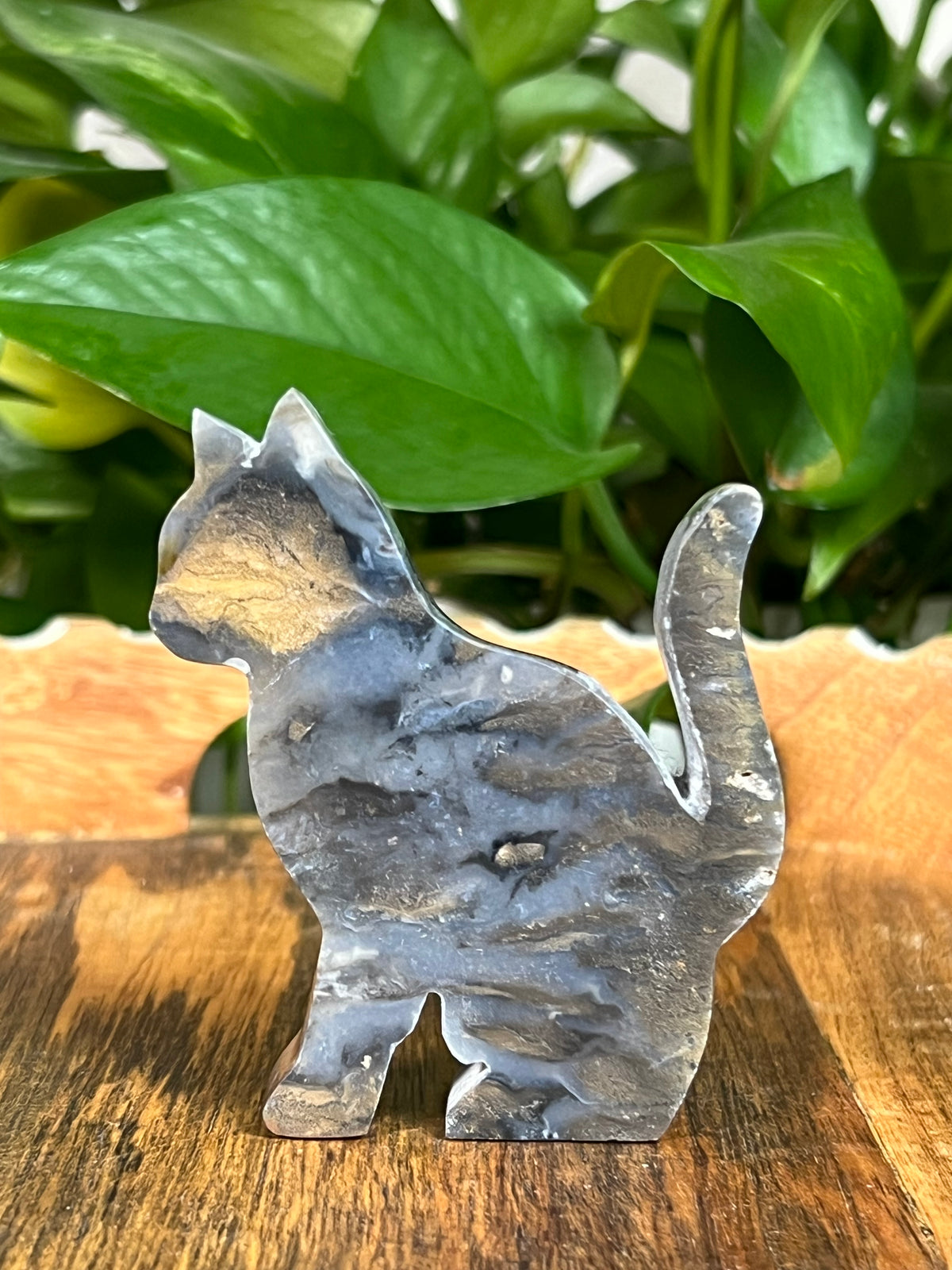 Dendritic Tiger Agate Cats
