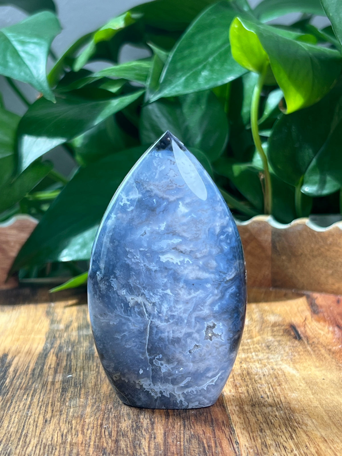 Blue Plume Agate Flame: NB