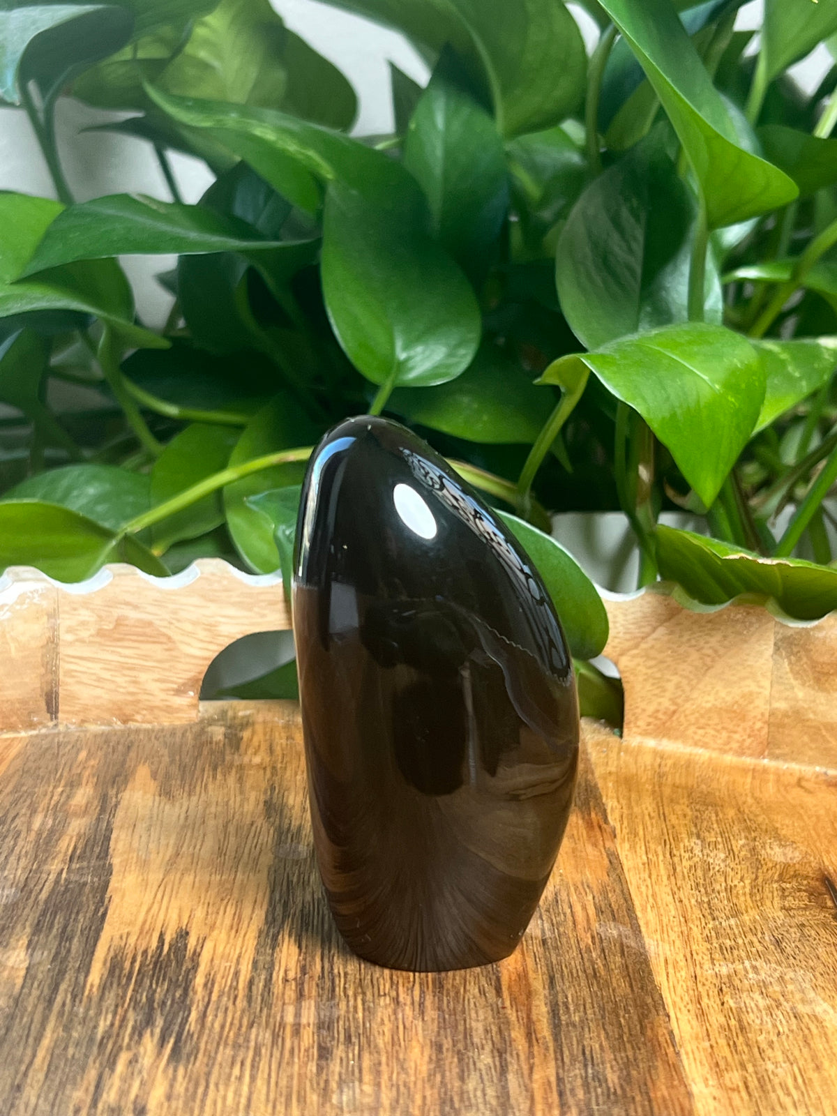 Blue Amber Freeform: M