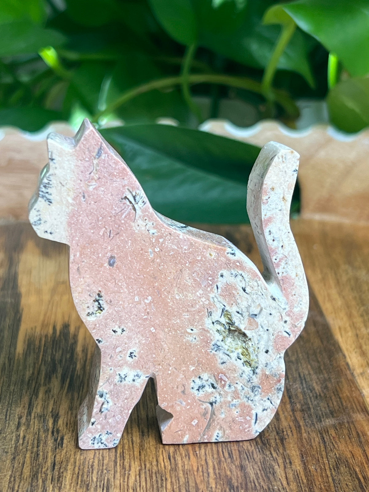 Dendritic Jasper Cat: KC