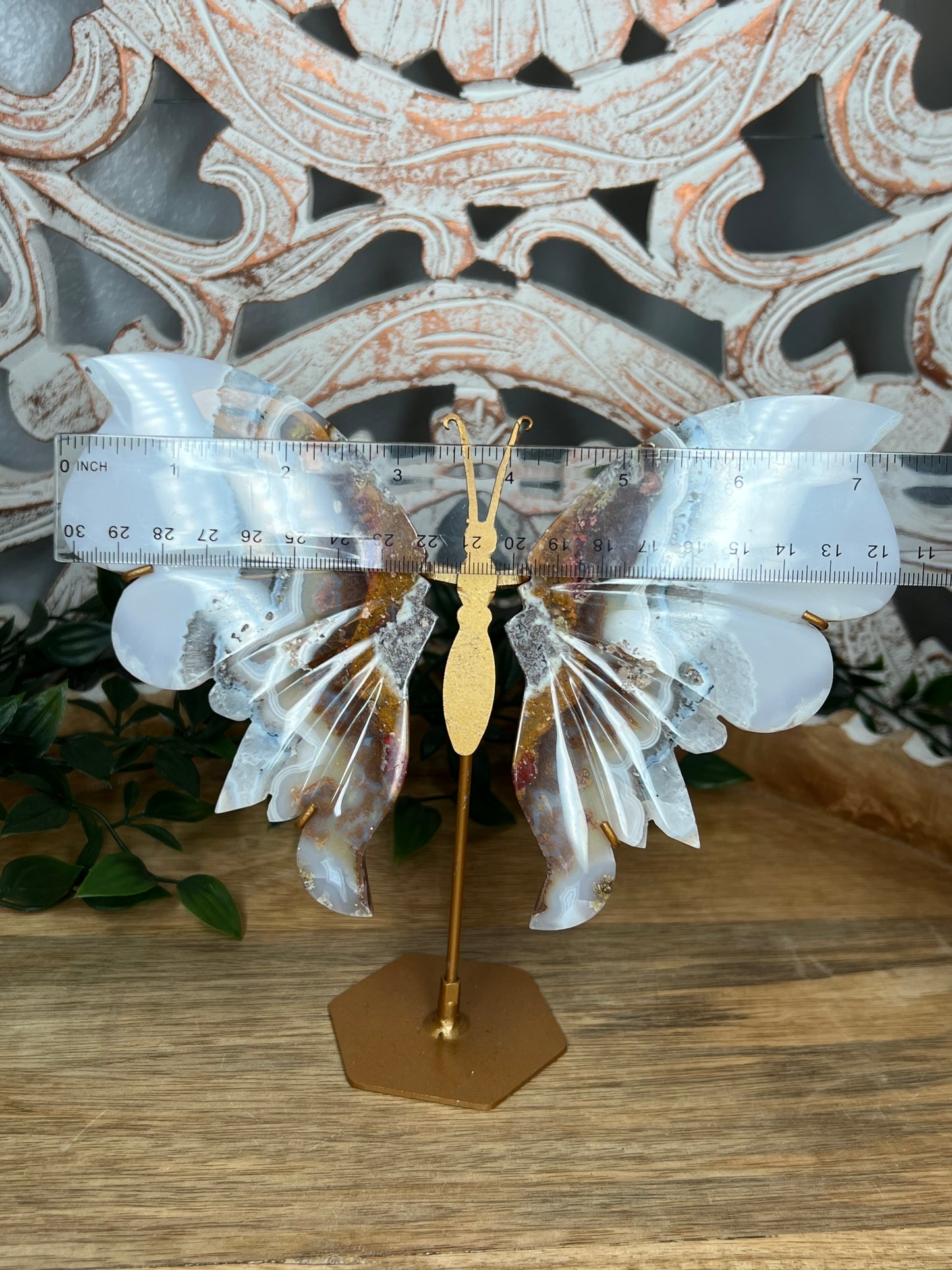 Scenic Moss Agate Wings