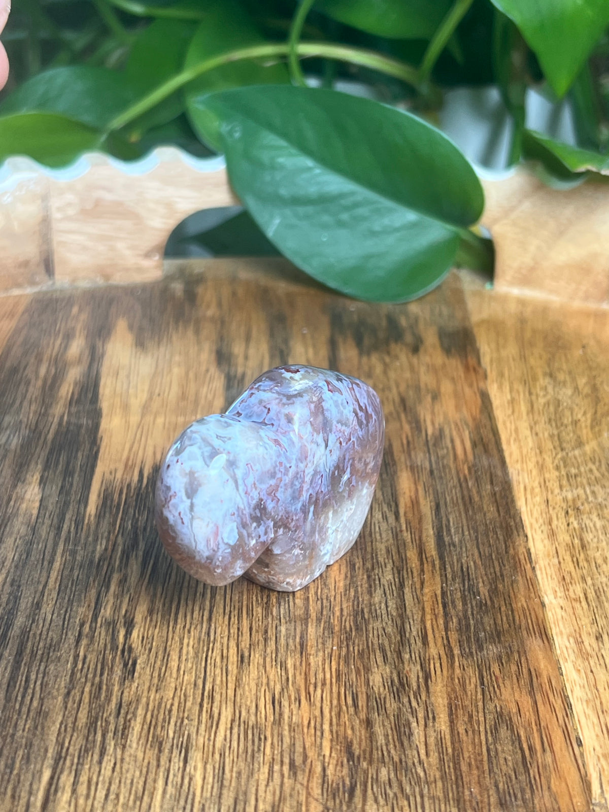 Sumatra Plume Agate Mini Buffalo: DH