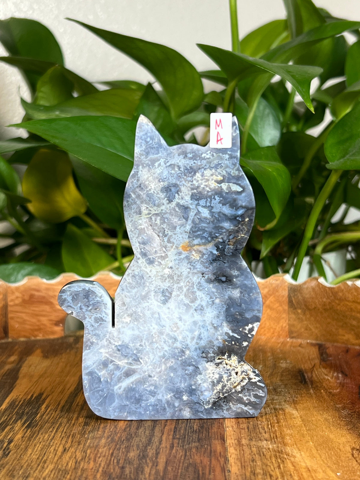 Blue Plume Agate Cats