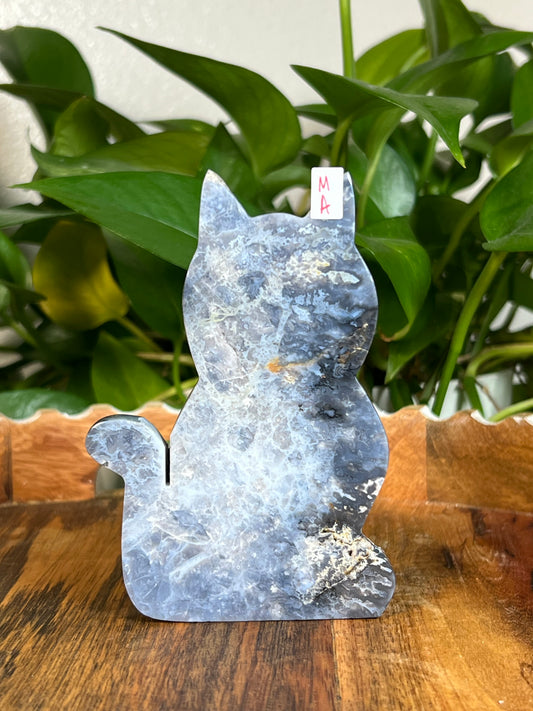 Blue Plume Agate Cats