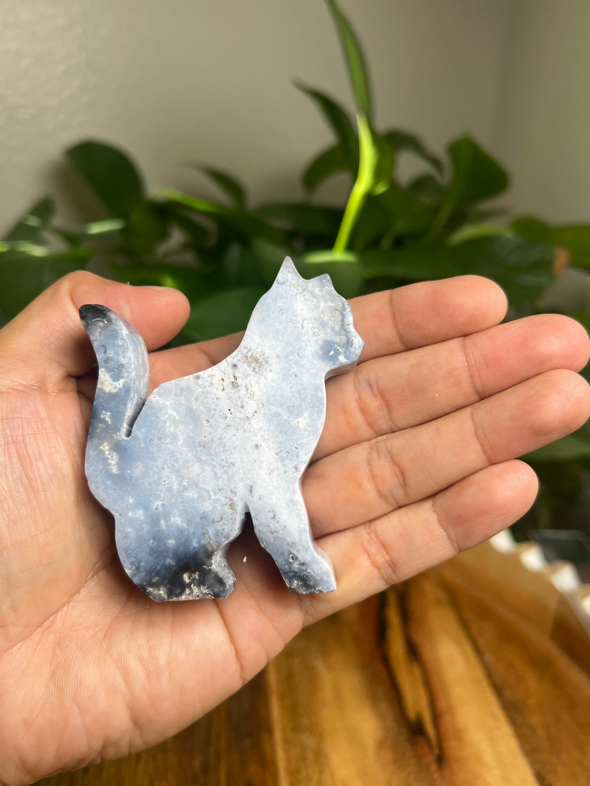 Blue Plume Agate Cat: AC